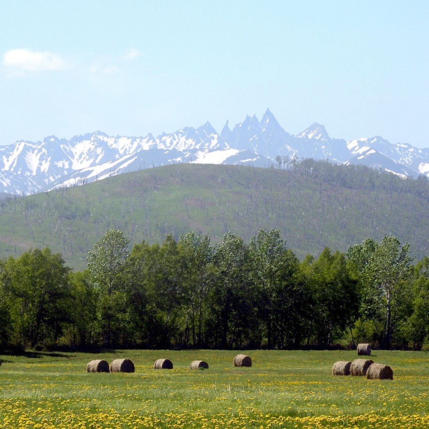 "Heuwende", Kapitel 3: "Auf der Alm"