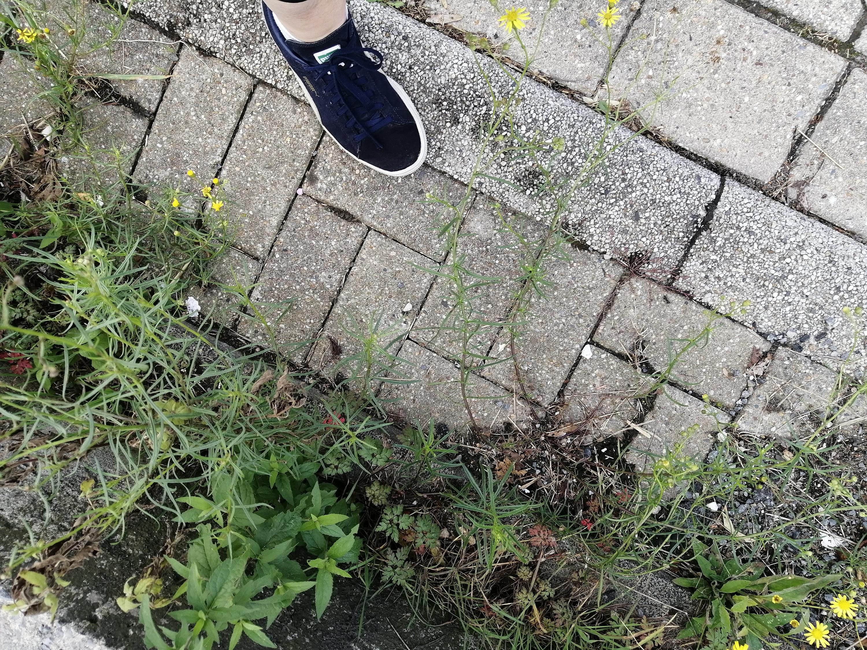 Hier hatte ich vor Wochen die Mega-Panikattacke