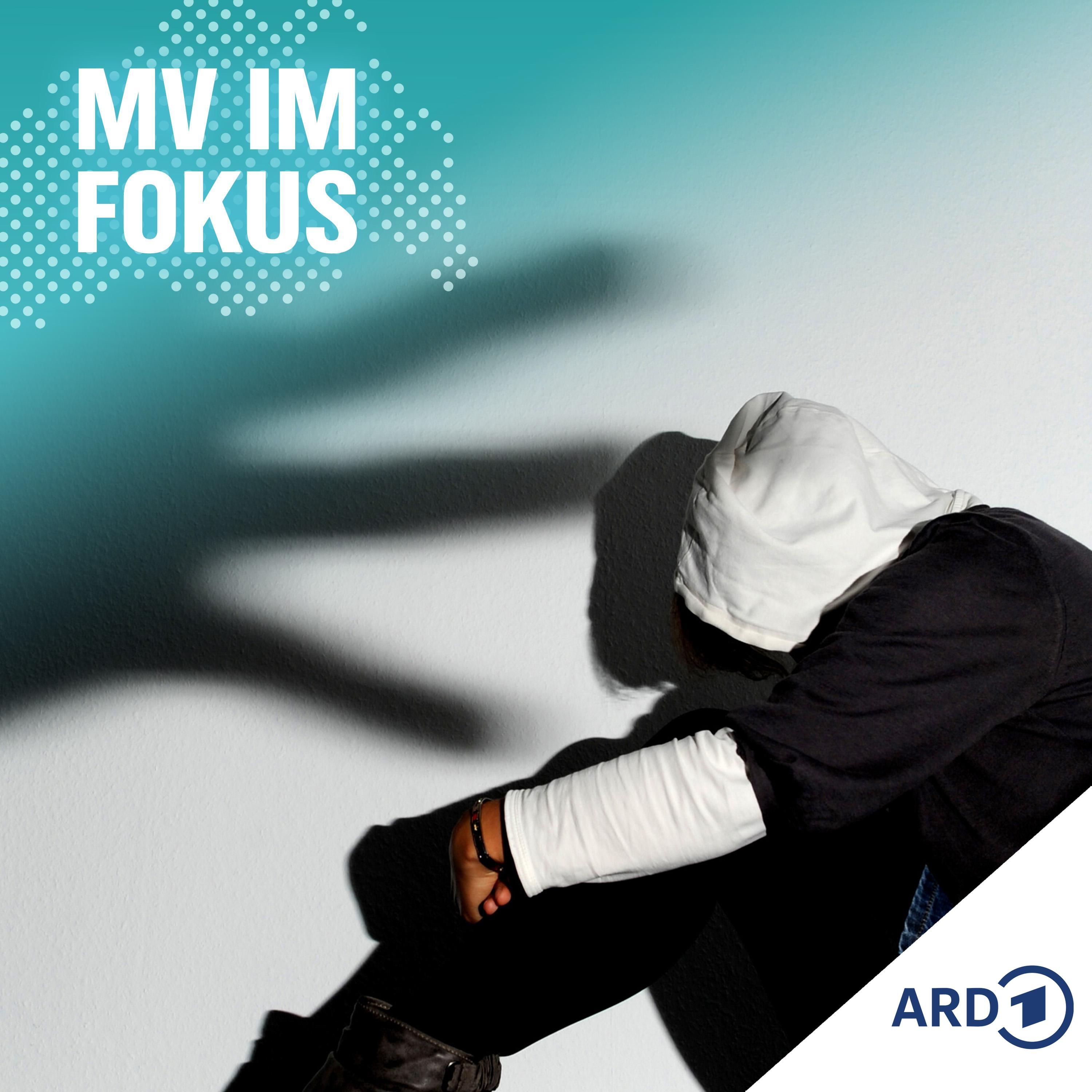 Hilfe bei Gewalt: Junge Greifswalder unterstützen Opfer