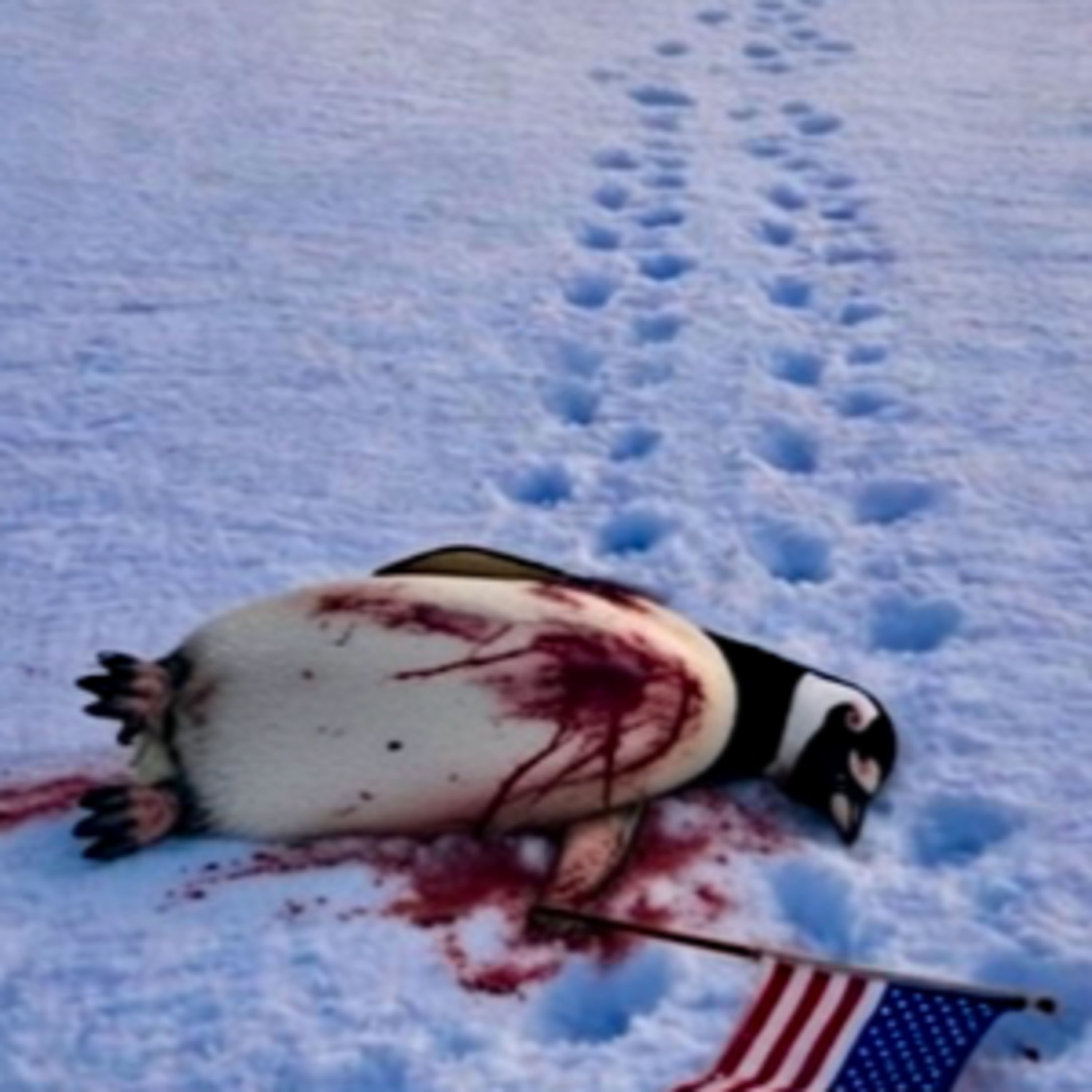 Hilfssheriffs in Minneapolis, Angst und die Midterms