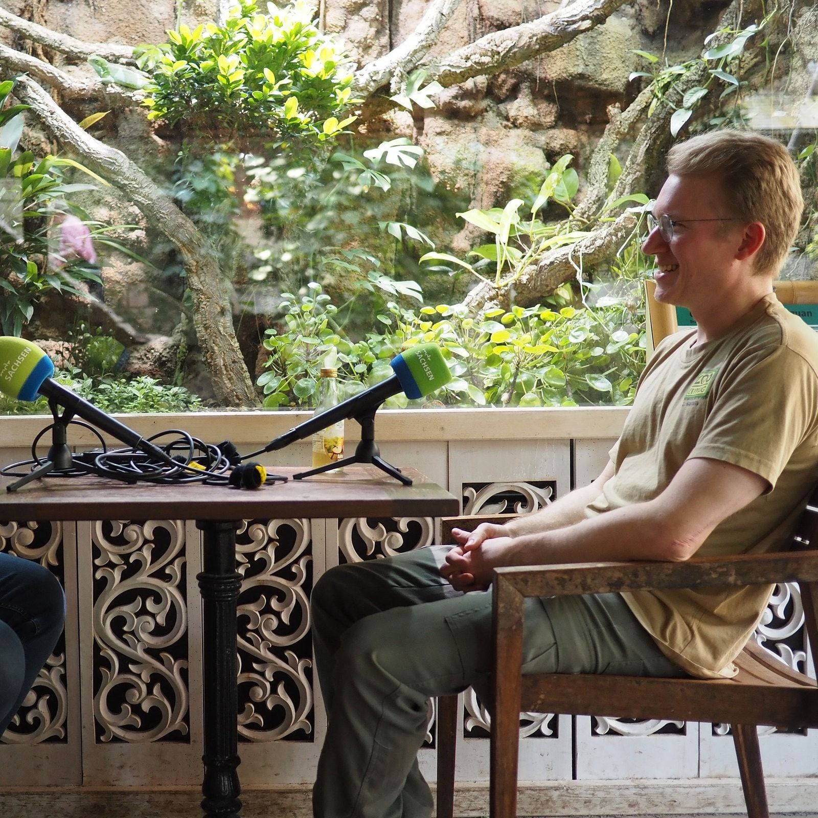 Himmelblau und doch dunkle Wolken - der Himmelblaue Zwergtaggecko