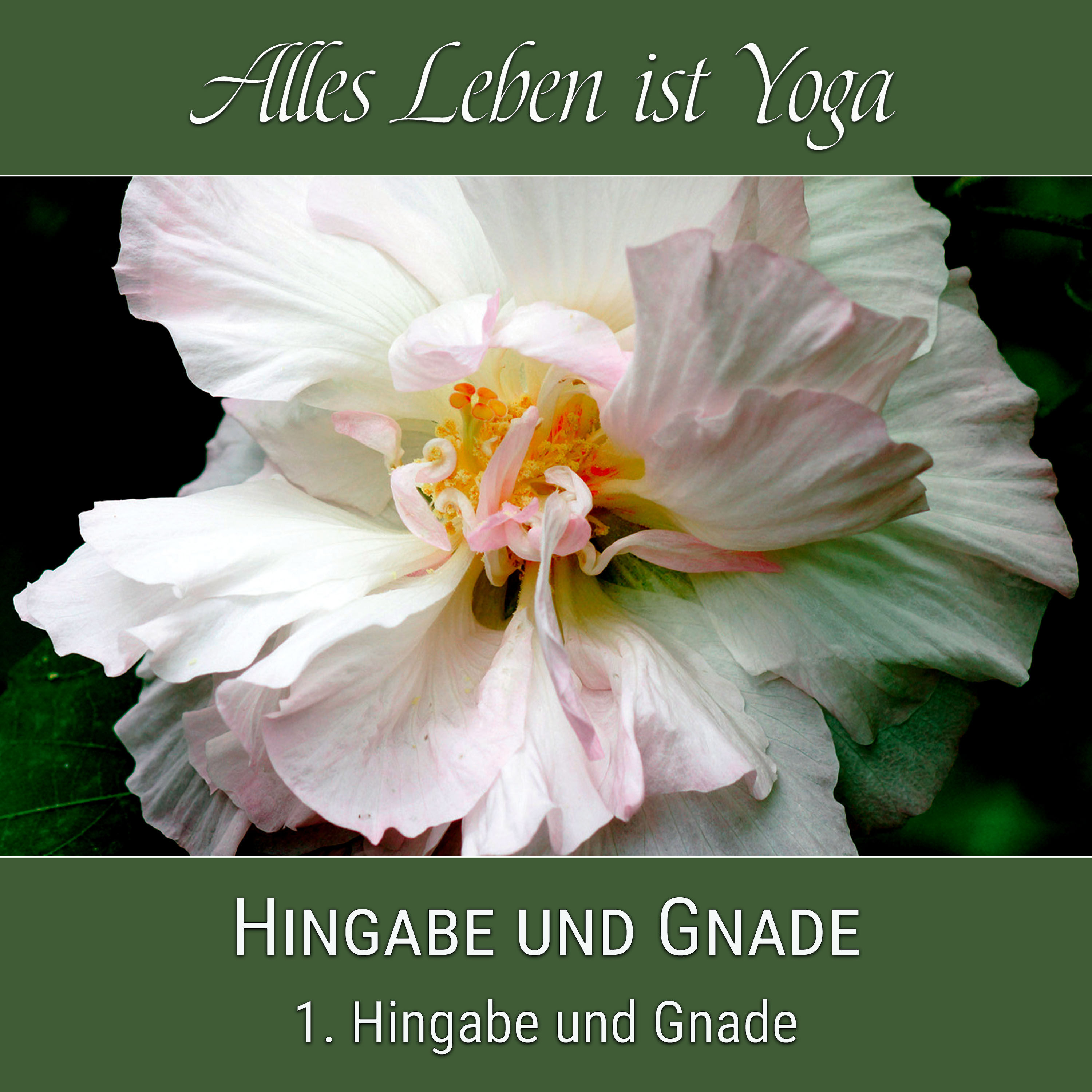 Hingabe und Gnade (Sri Aurobindo)