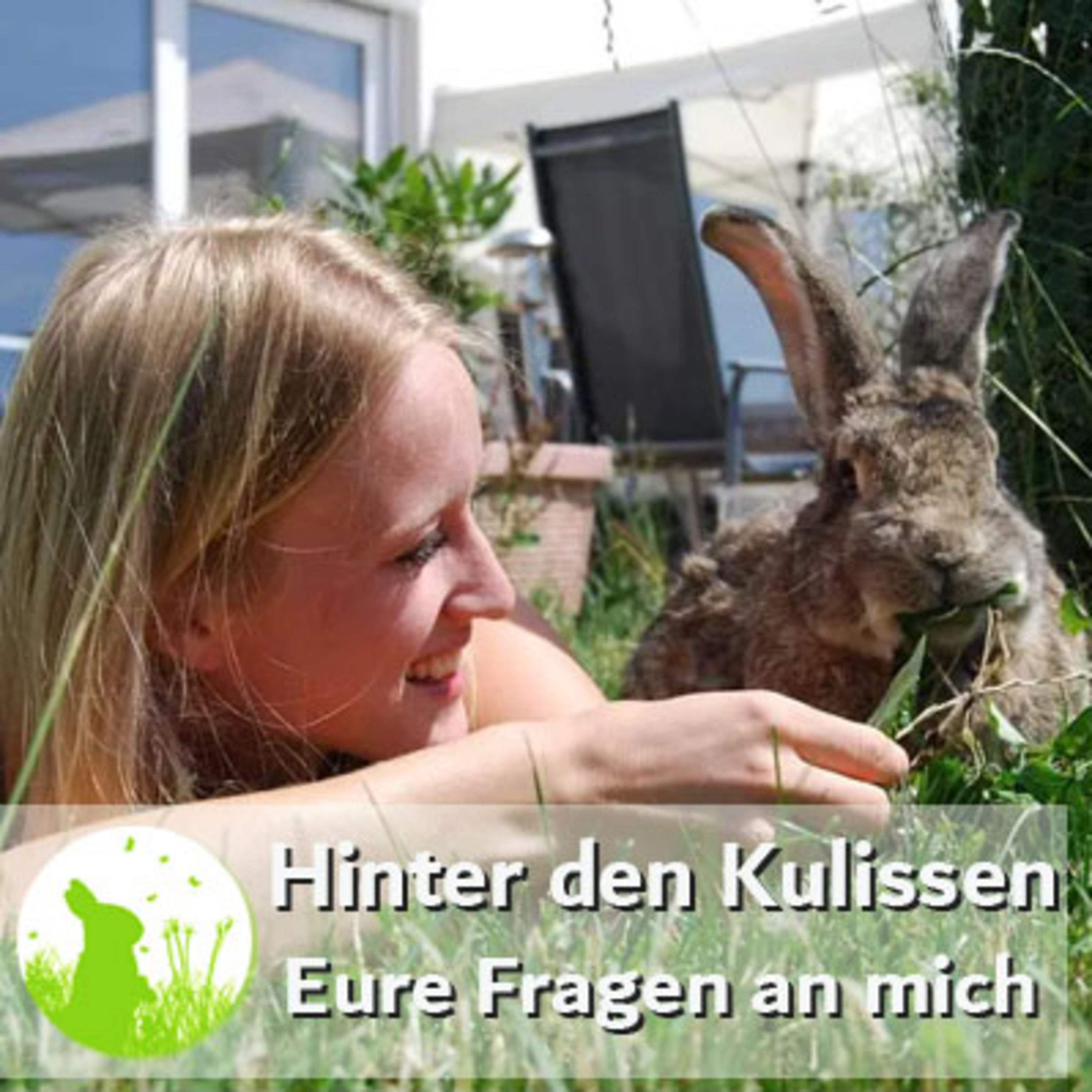 Hinter den Kulissen: Eure Fragen