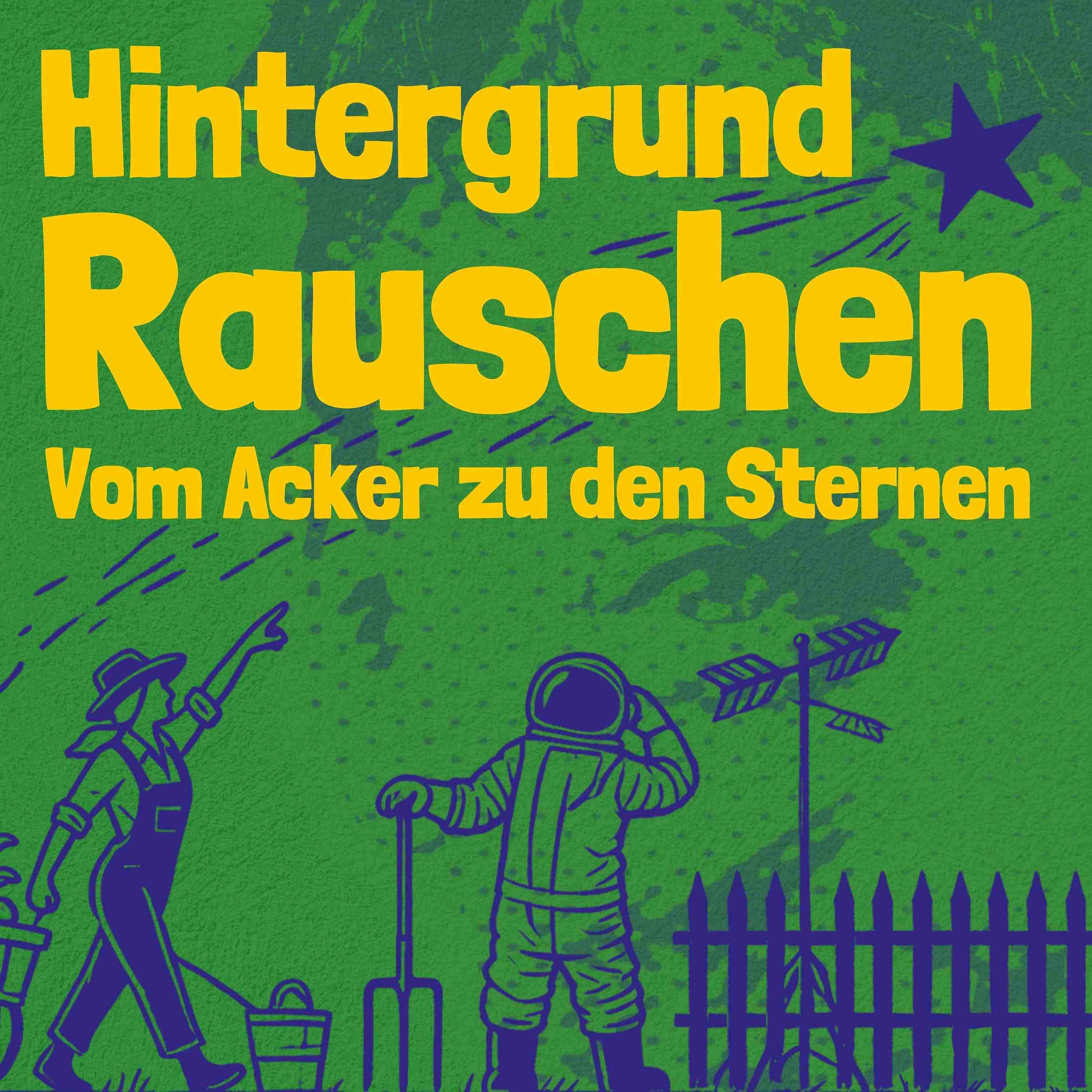 Hintergrundrauschen - Ferkel beim Saugen