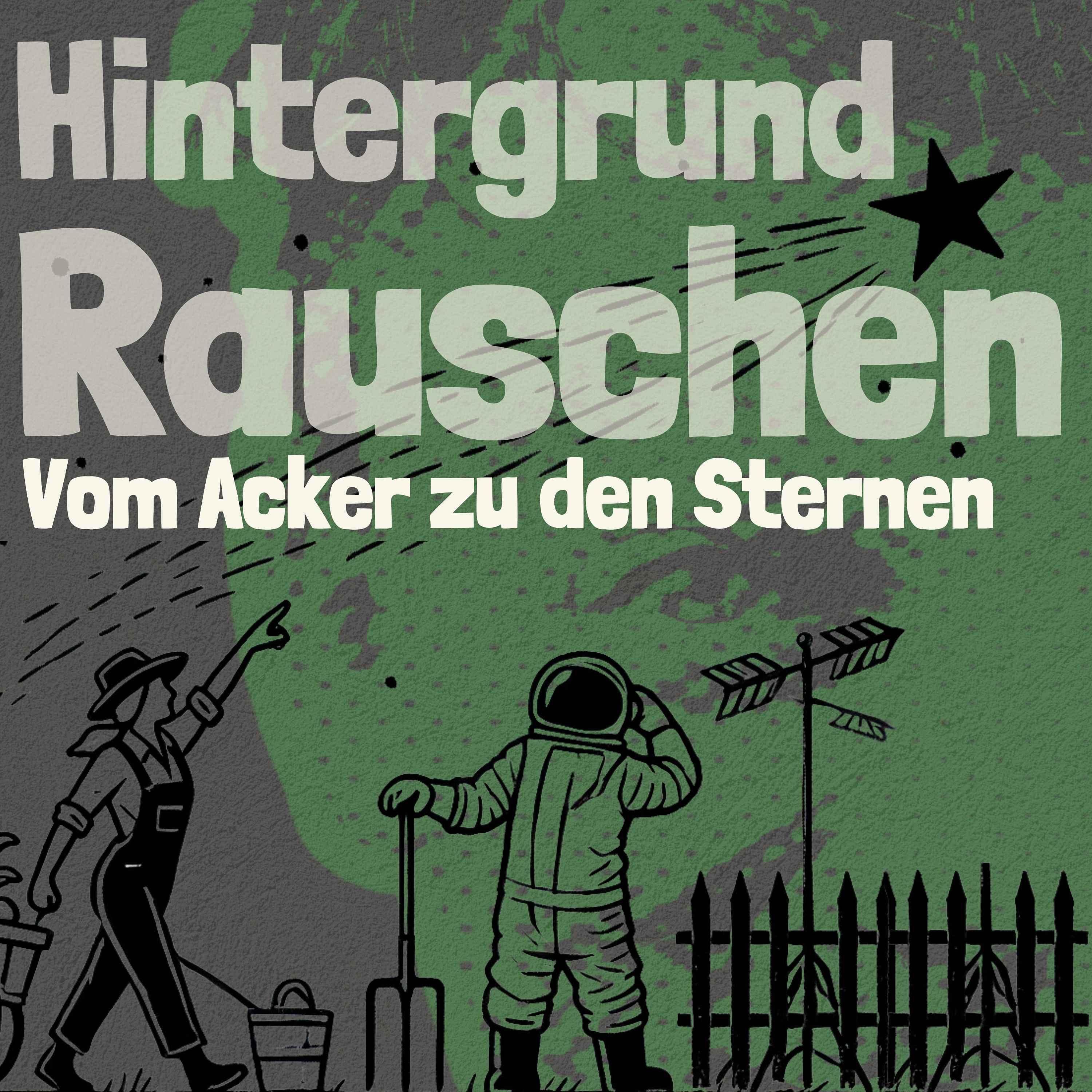 Hintergrundrauschen - Freilaufstall am Bergerhof