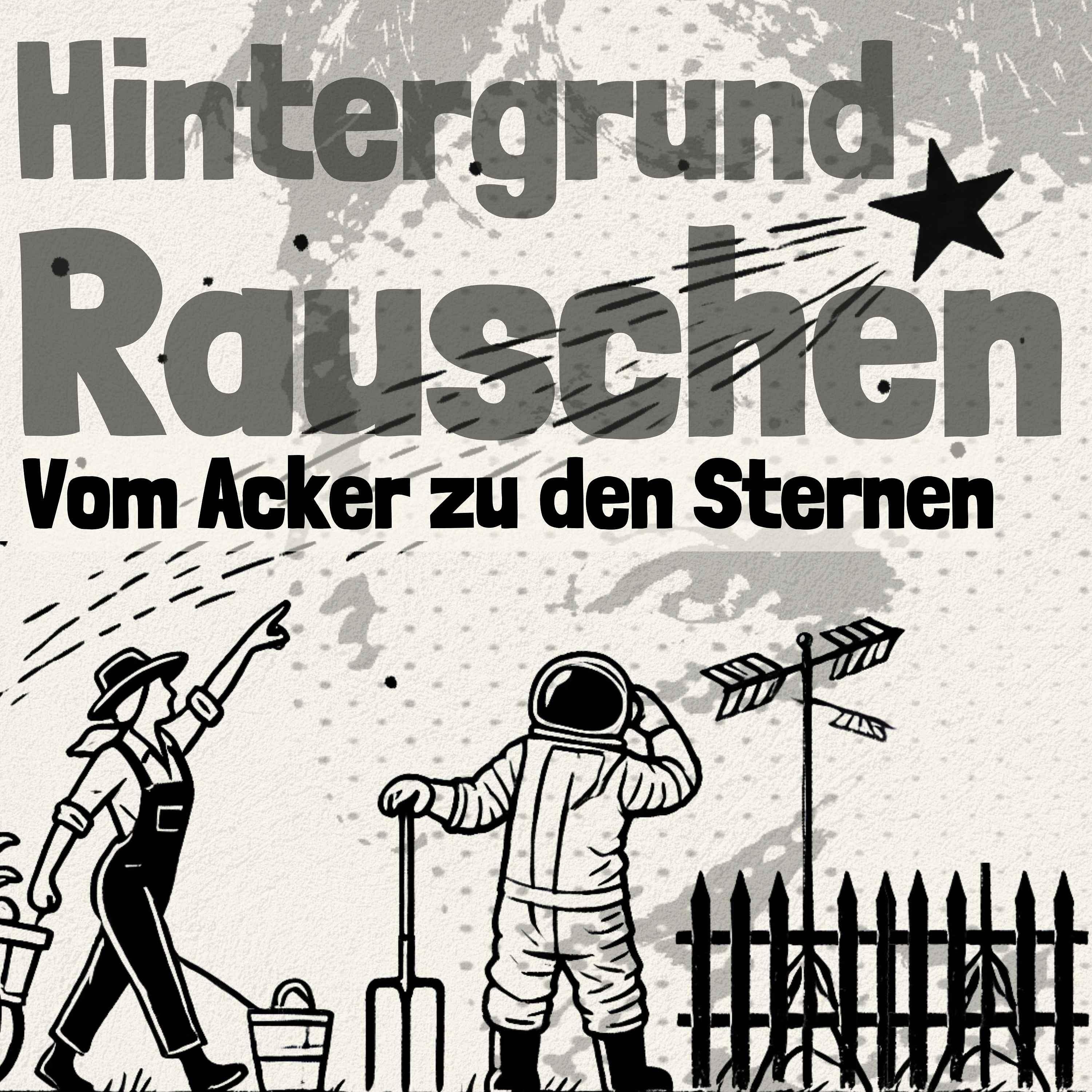 Hintergrundrauschen - Im Melkstand bei PetersPlaats