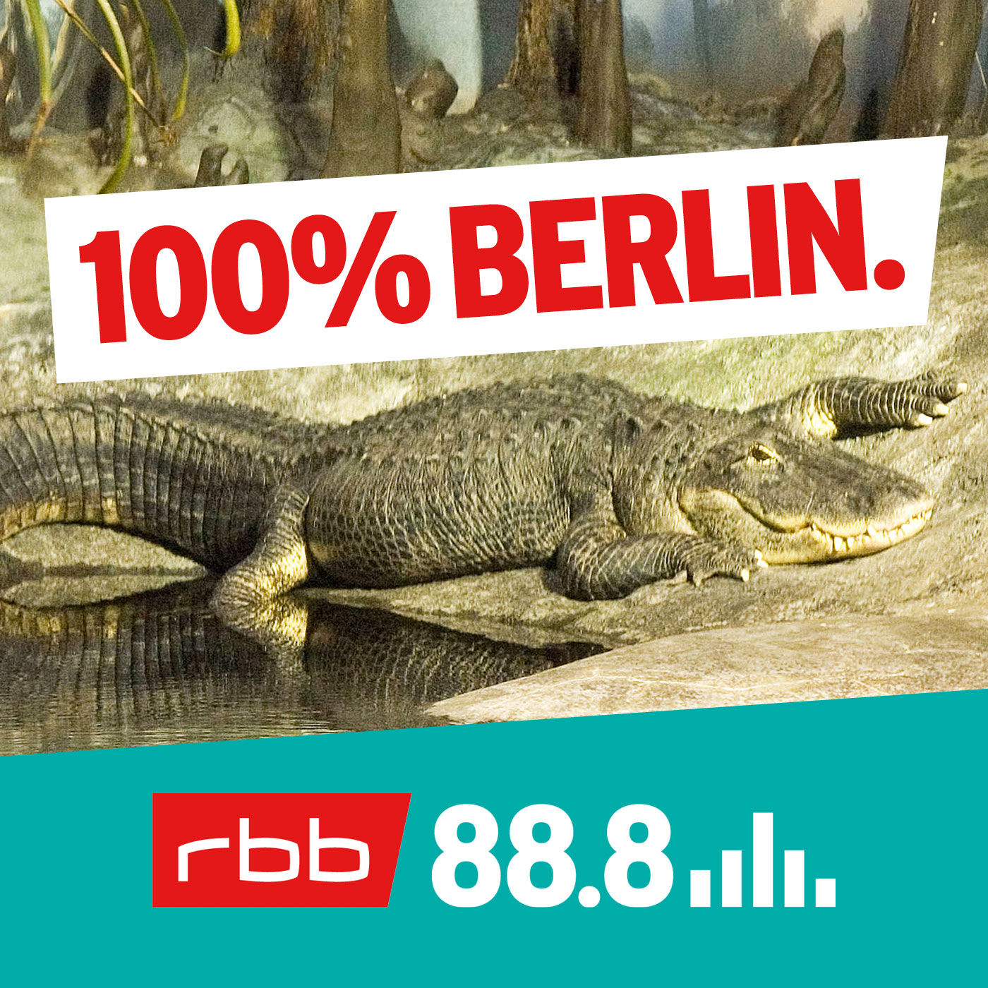 Hitlers Lieblingstier – die verrückte Story von Alligator Saturn