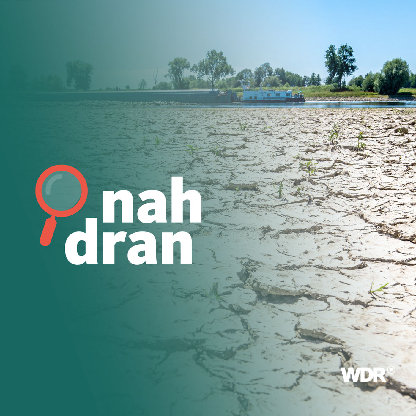 Hitze, Waldbrände, Starkregen: Deutschland im Klimawandel?