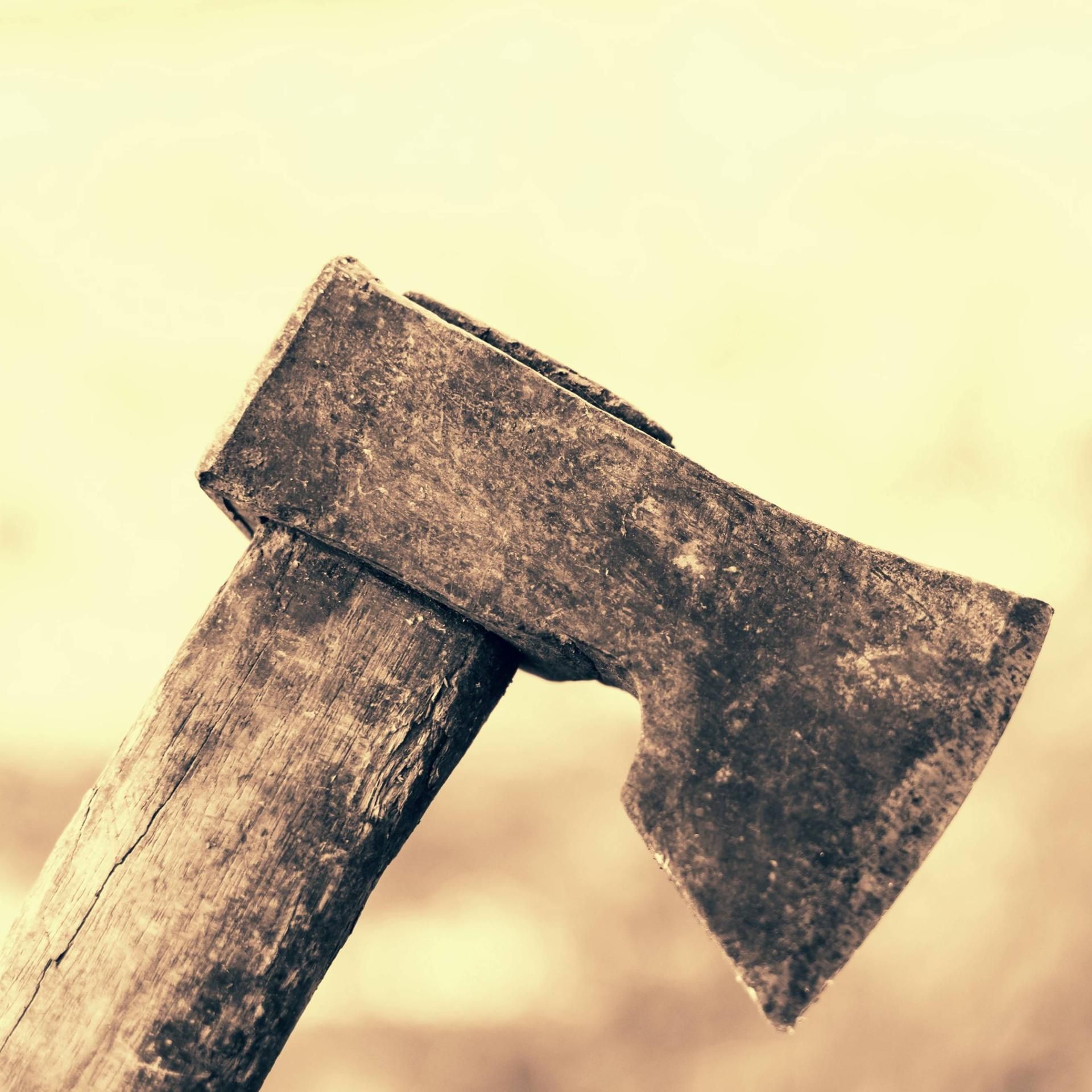 Håkan Nesser Krimi: Van Veeteren ermittelt - Das vierte Opfer