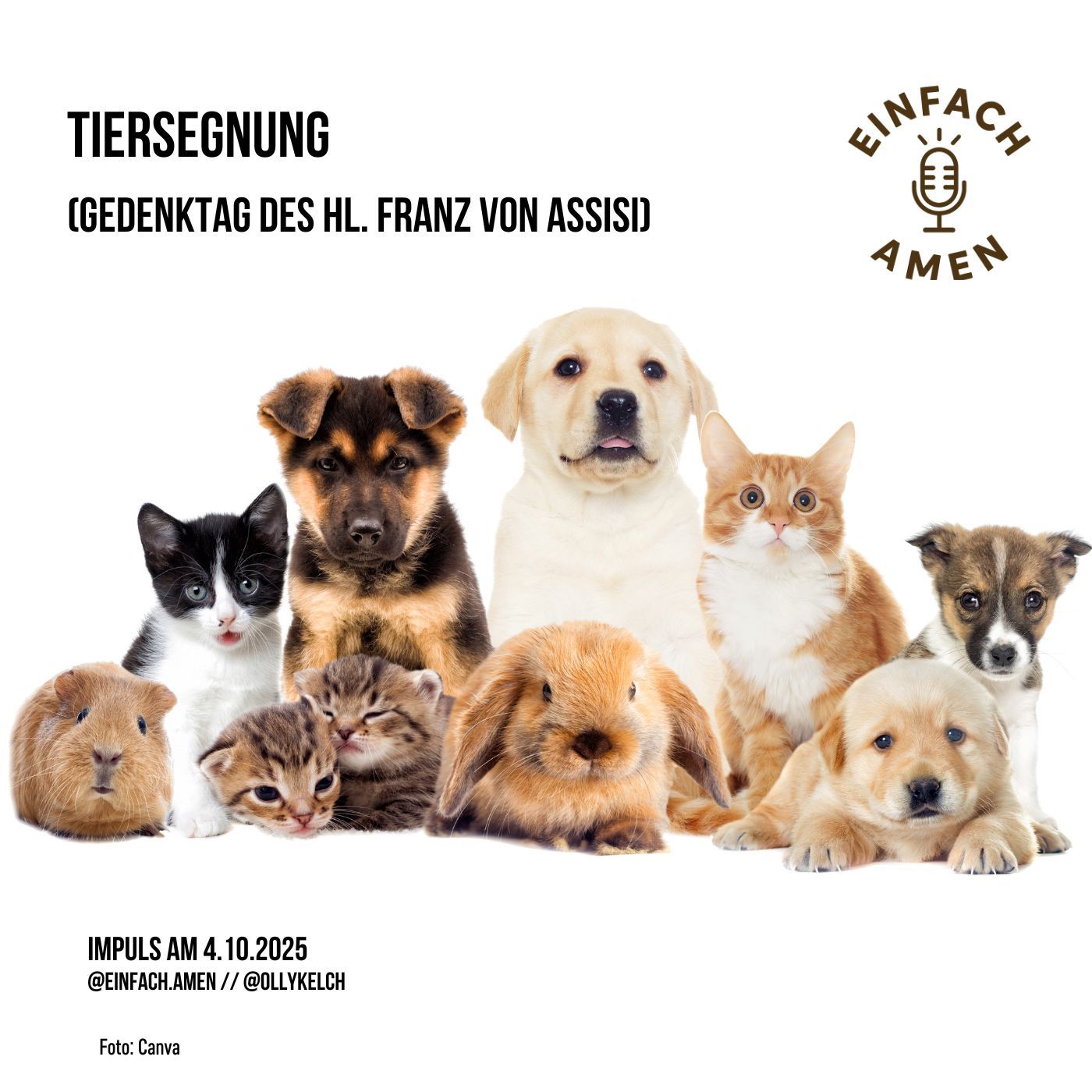 Hl. Franz von Assisi mit Tiersegnung (4.10.2025)