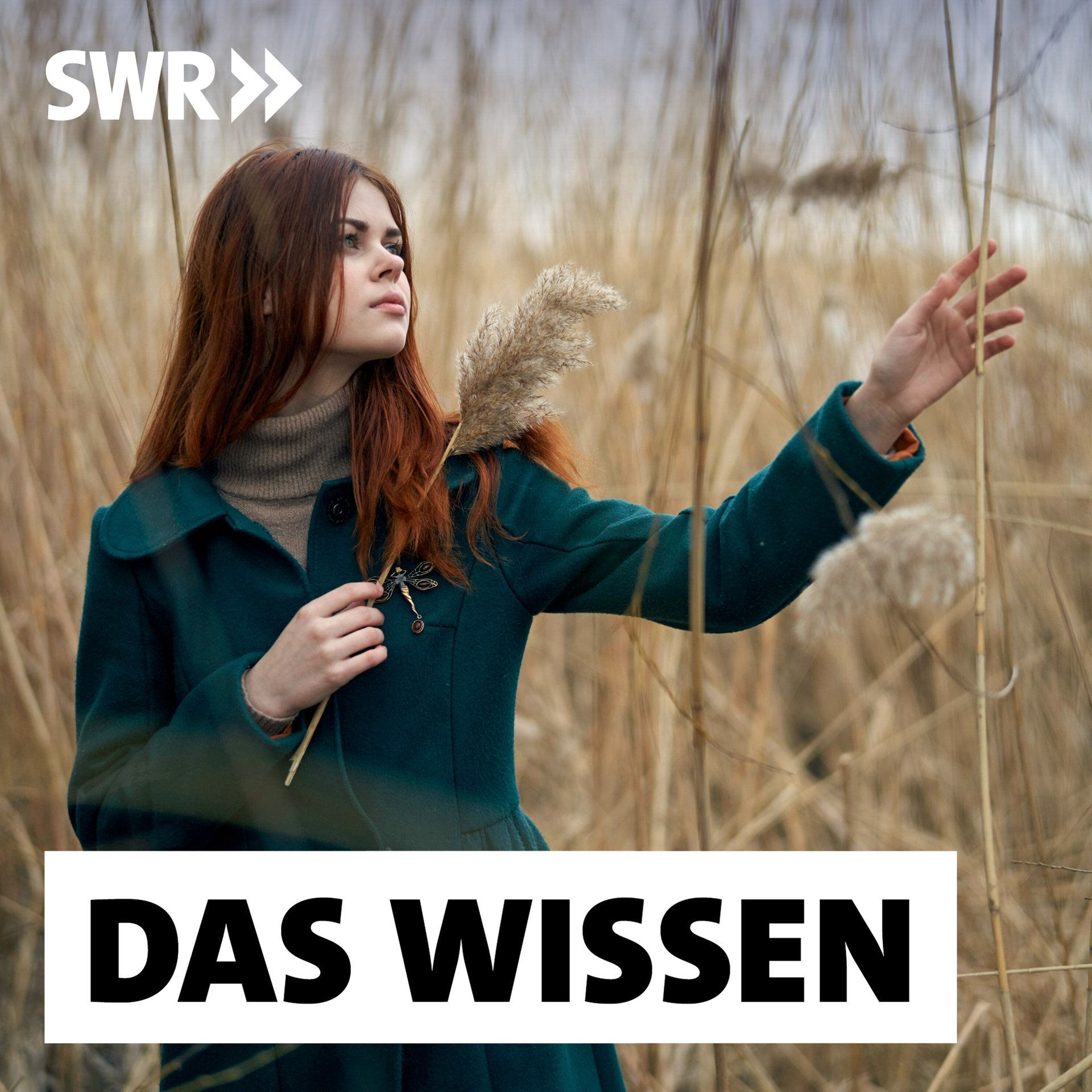 Hochsensible Menschen – Empfindsam oder nur empfindlich?