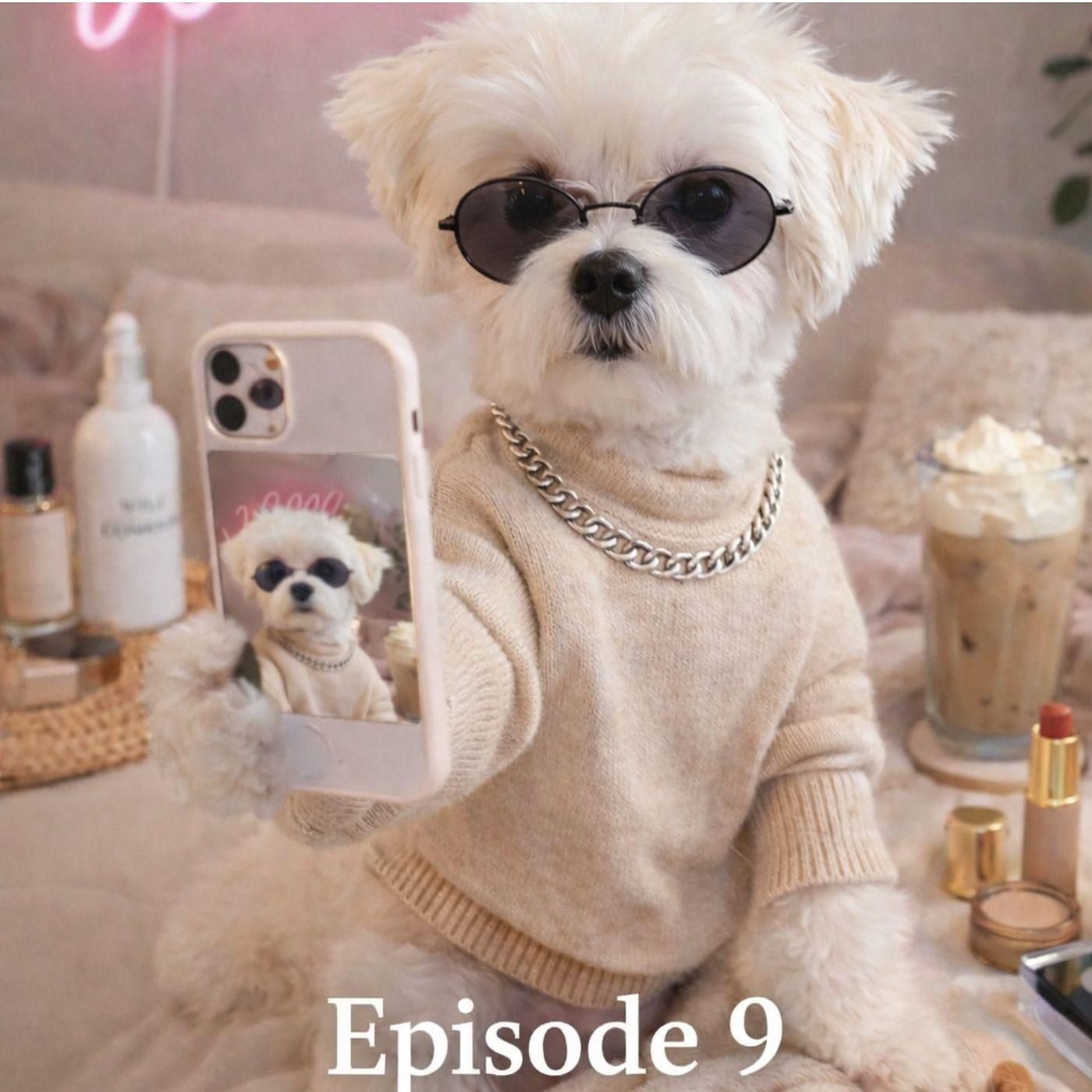 Holli & Willi - Der Pfotentalk