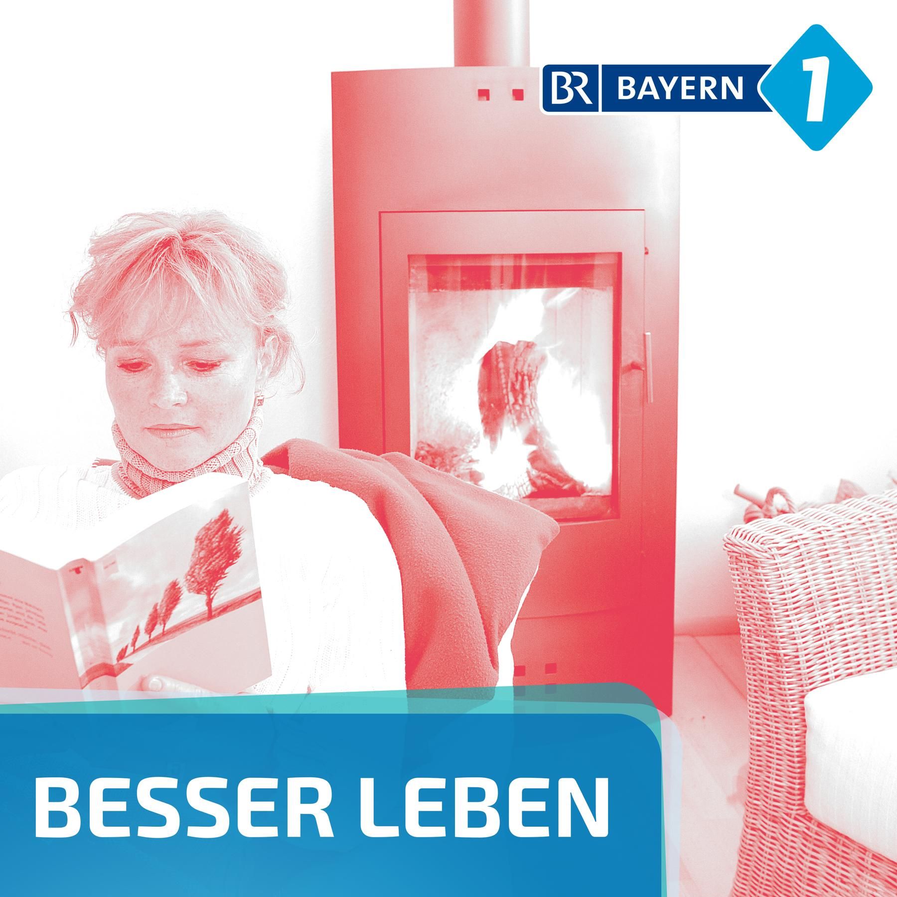 Holzofen-Verbot: Wie lange sind Holzöfen noch erlaubt?