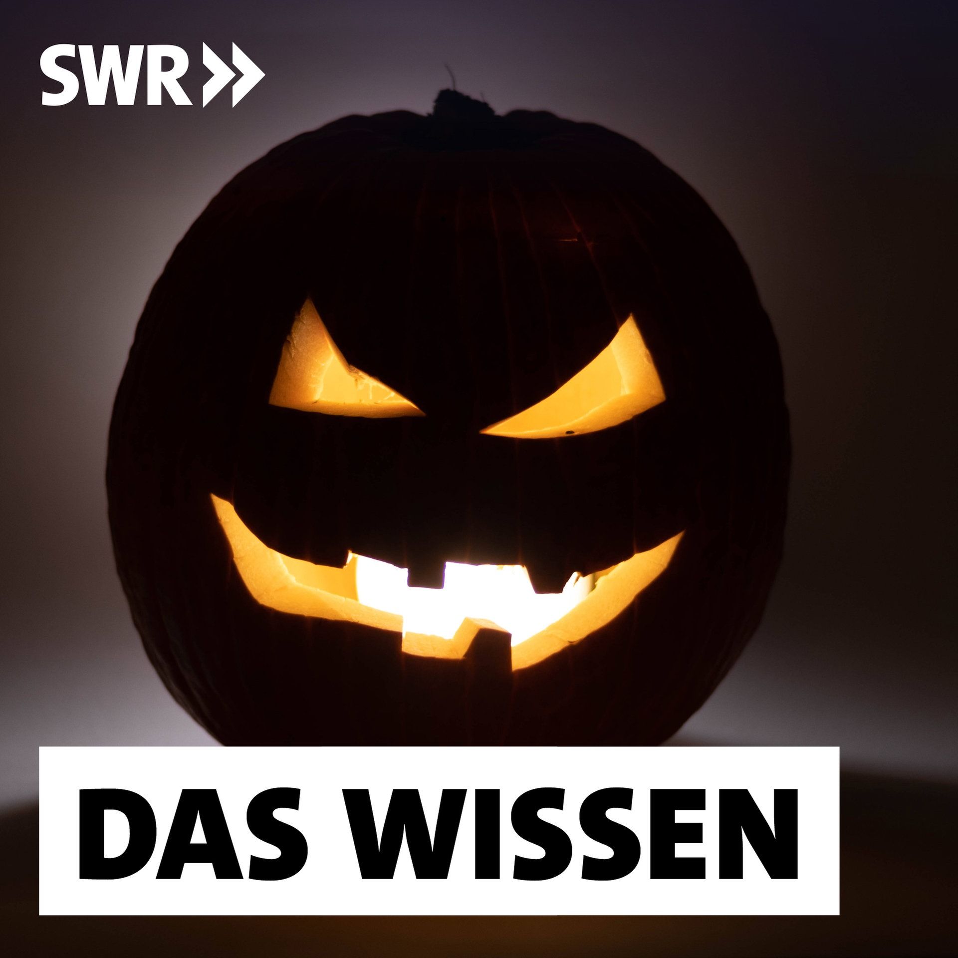 Horror, Thriller, True Crime – Warum wir uns gerne gruseln