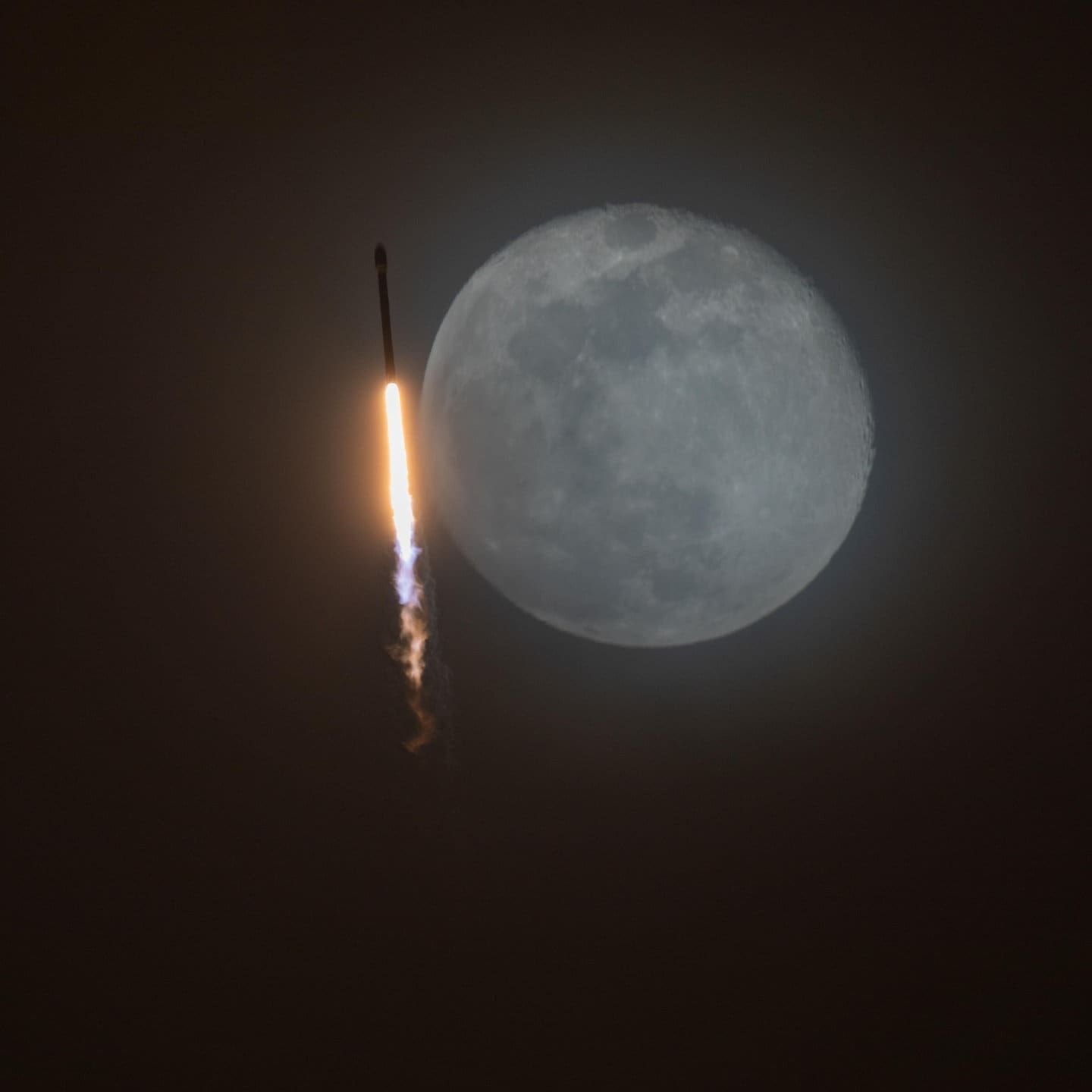 Houston, Elon Musk will doch erst auf den Mond