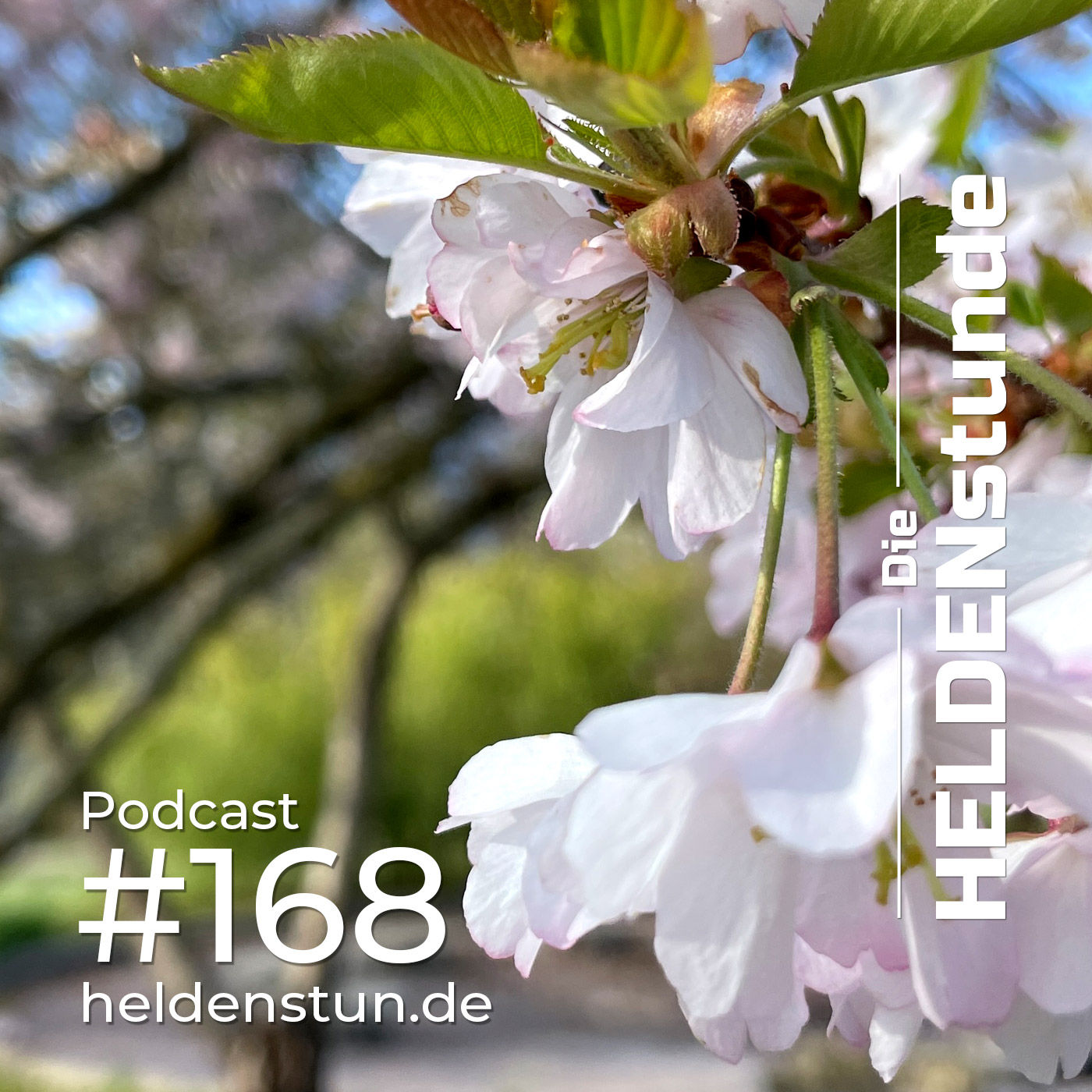 HS 168 | (Endlich) Frühling. Erst schön durch den Winter.