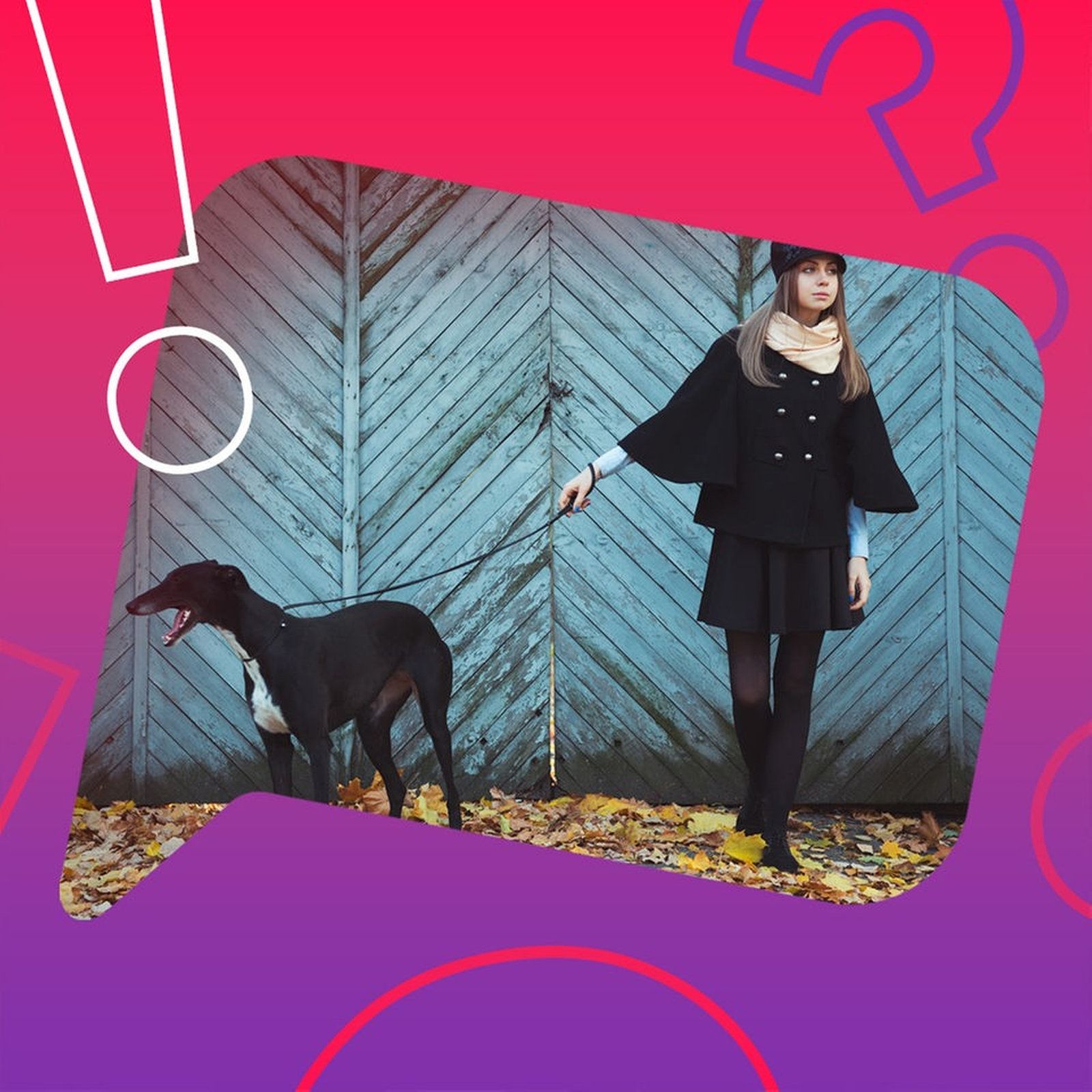 Hunde die bellen beißen nicht?
