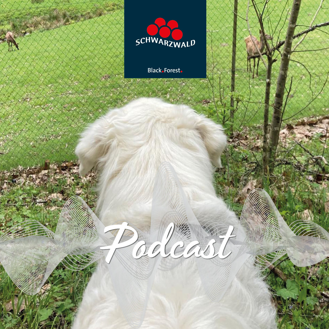 Hunde, Höhen, Heidelbeeren