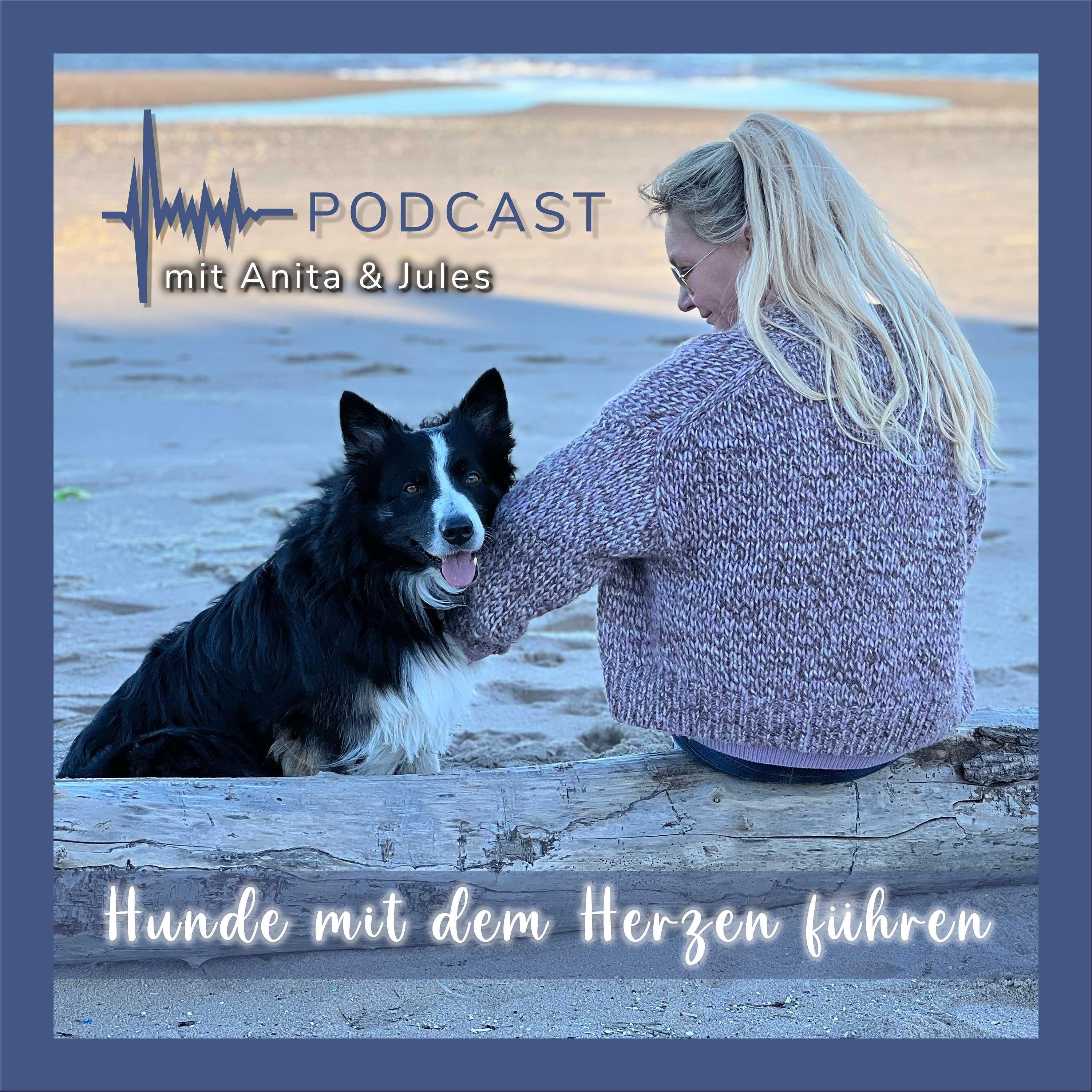 #1 Von Enttäuschungen und falschen Annahmen