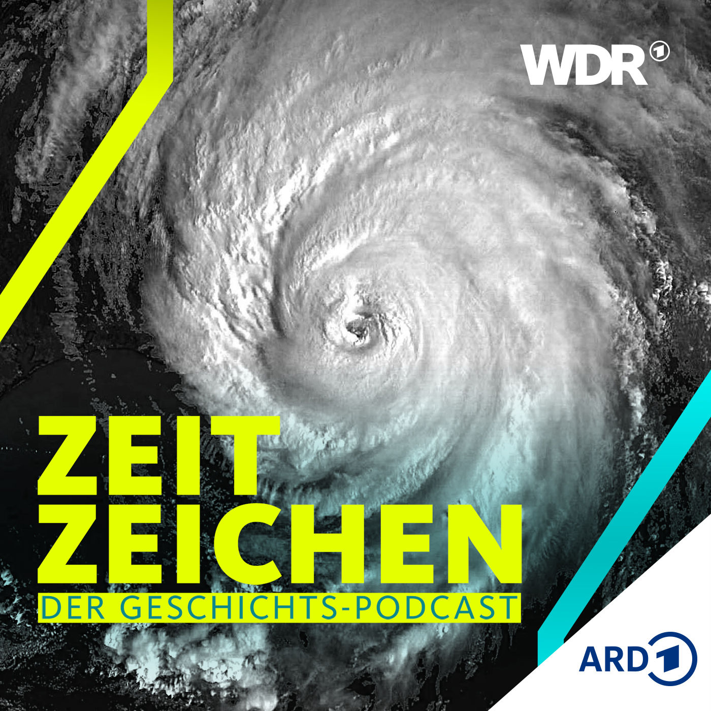 Hurrikan Katrina: die Naturkastrophe und das Staatsversagen