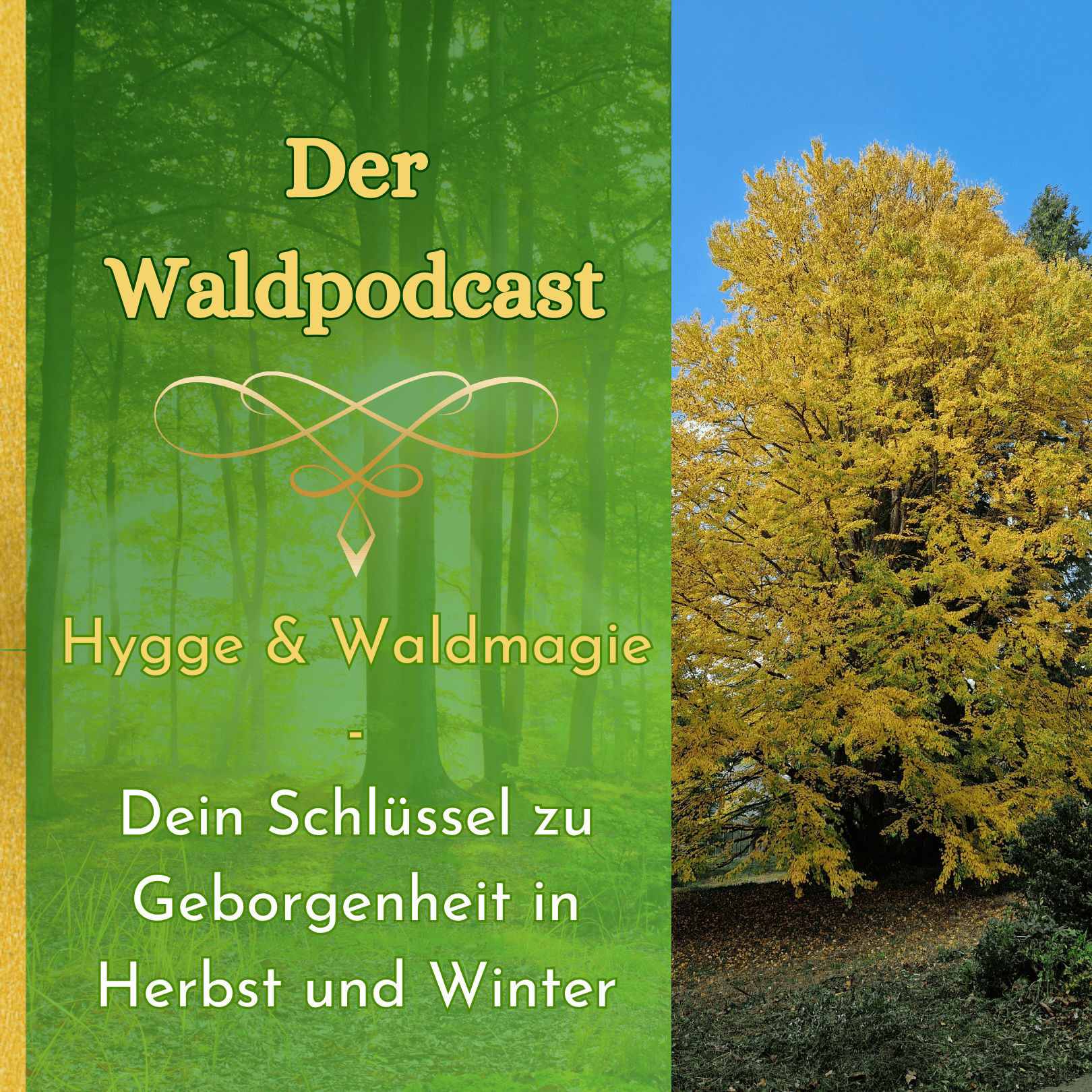 Hygge und Waldmagie - Dein Schlüssel zu Geborgenheit in Herbst und Winter