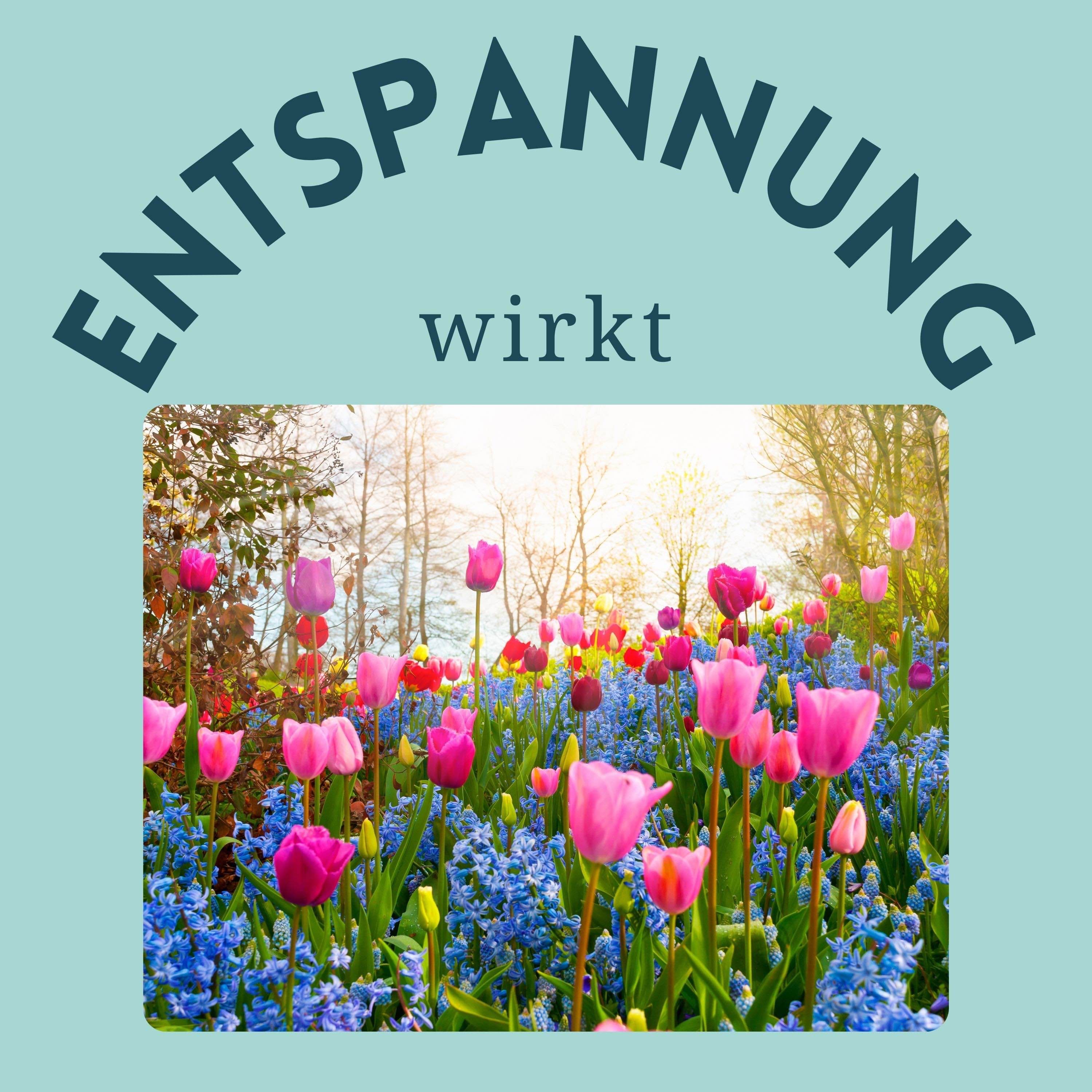 Hypnose für den Frühlingsanfang: Altes Loslassen & Wünsche manifestieren (35 Minuten Länge)