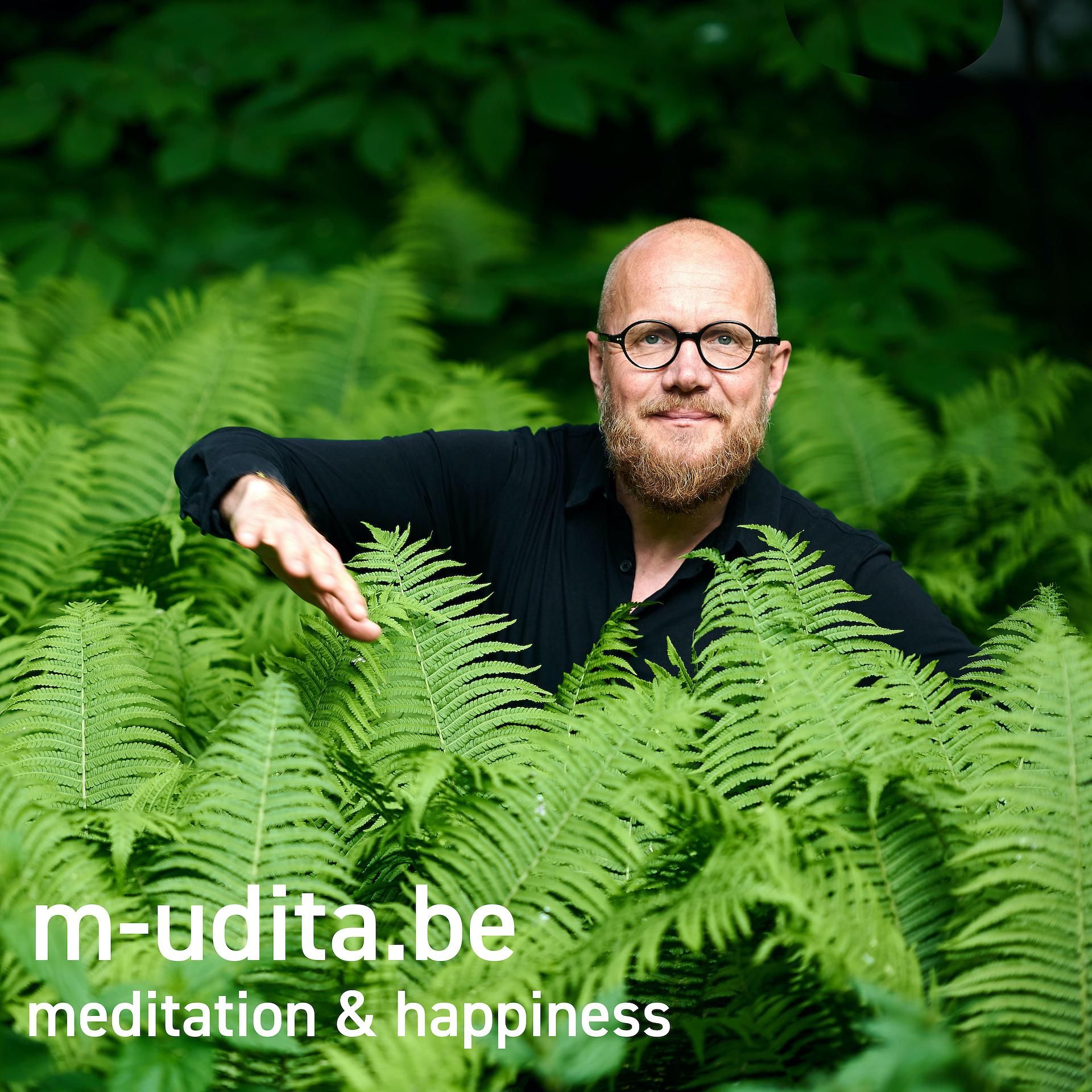 I feel good - Emotionen und Gefühle in der Meditation