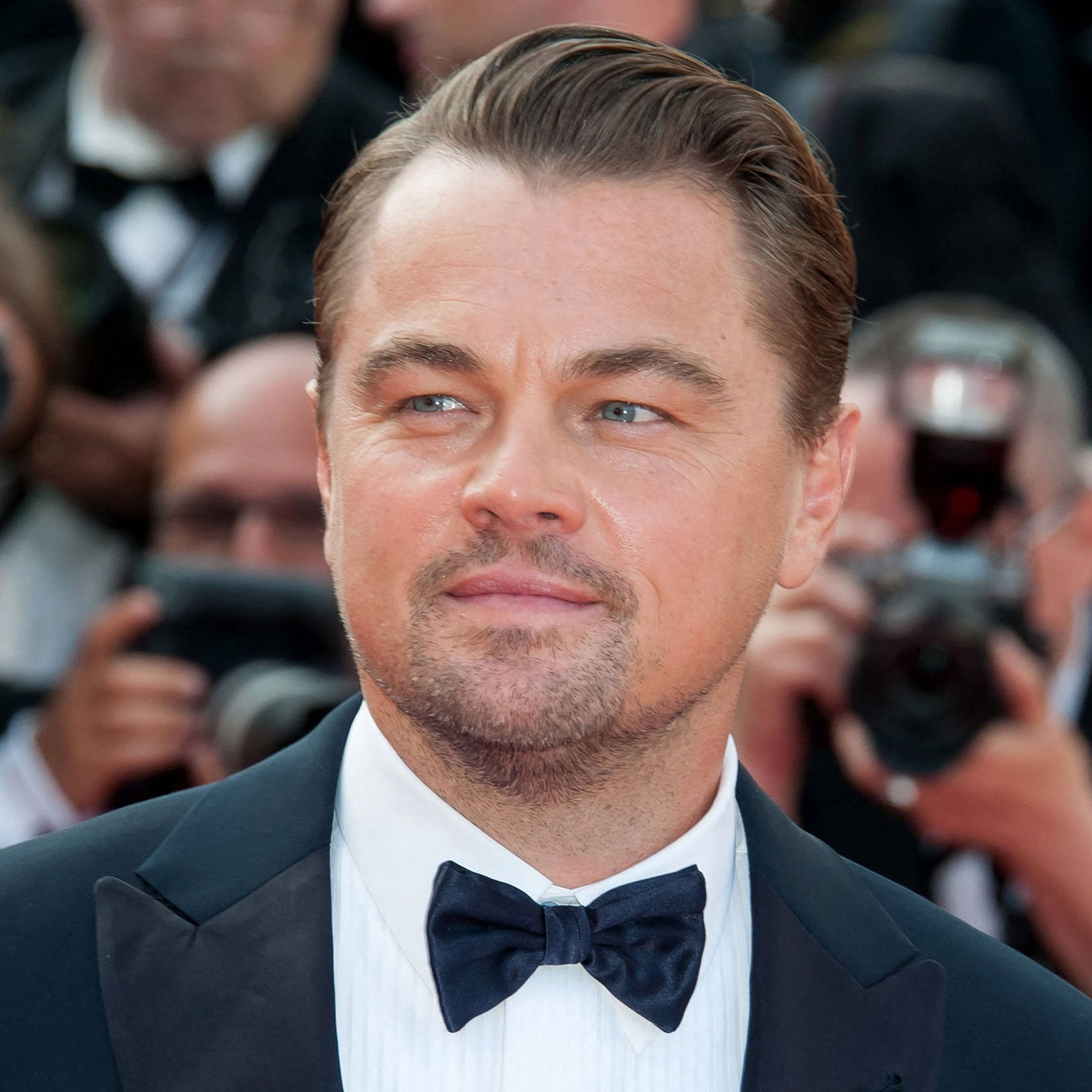 Ich bin der König der Welt - Leonardo DiCaprio