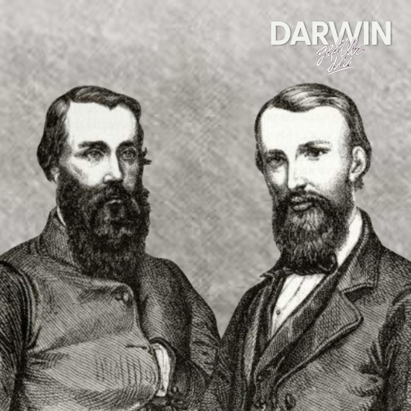 Ich bin kein Star, holt mich hier raus