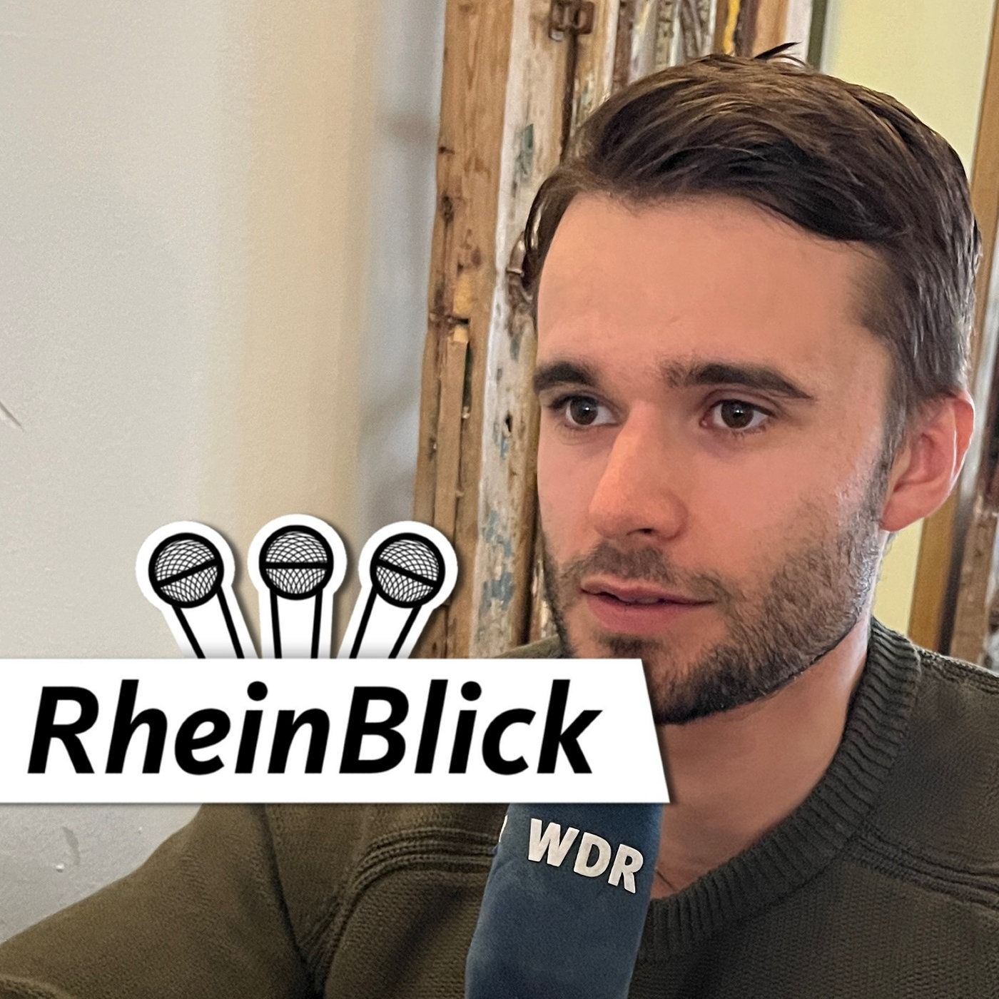 "Ich musste mir einen Plan schmieden, aus der AfD rauszukommen"