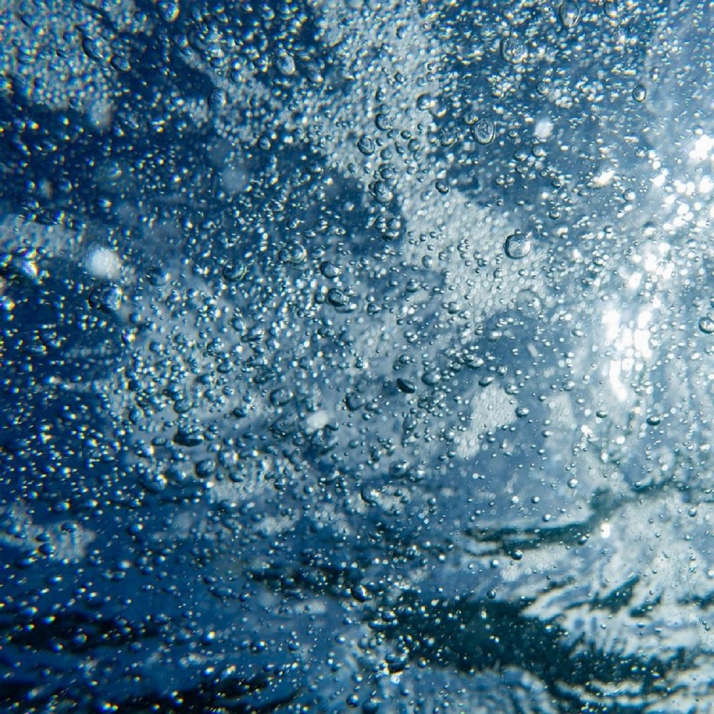 Ich singe dir mit Herz und Mund (EG 324)