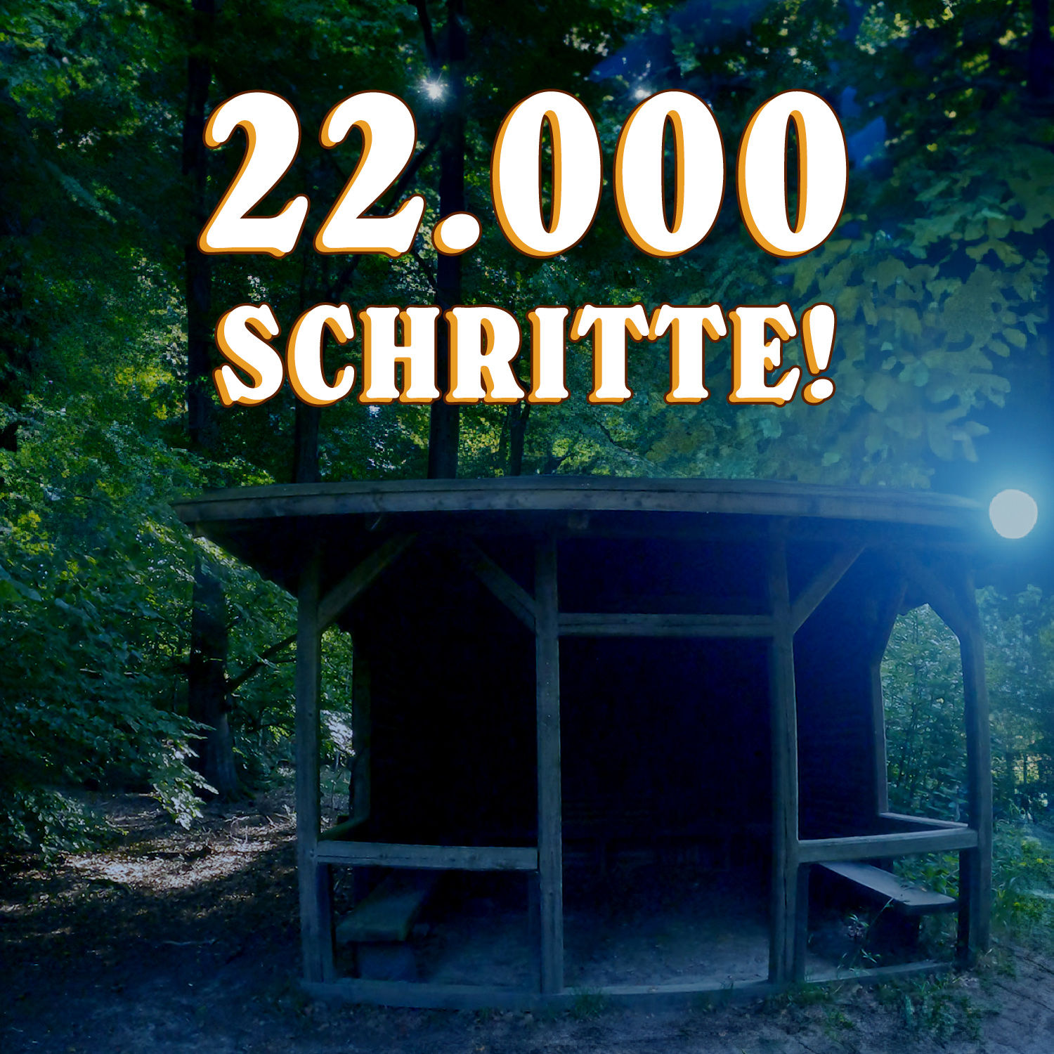 Ich wurde im Netto beleidigt und übernachte im Wald | Schritt für Schritt: 22K
