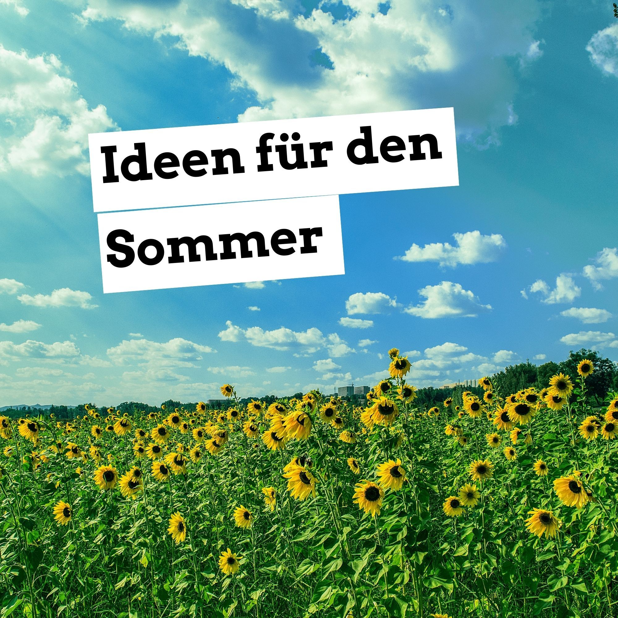 Ideen für den Sommer