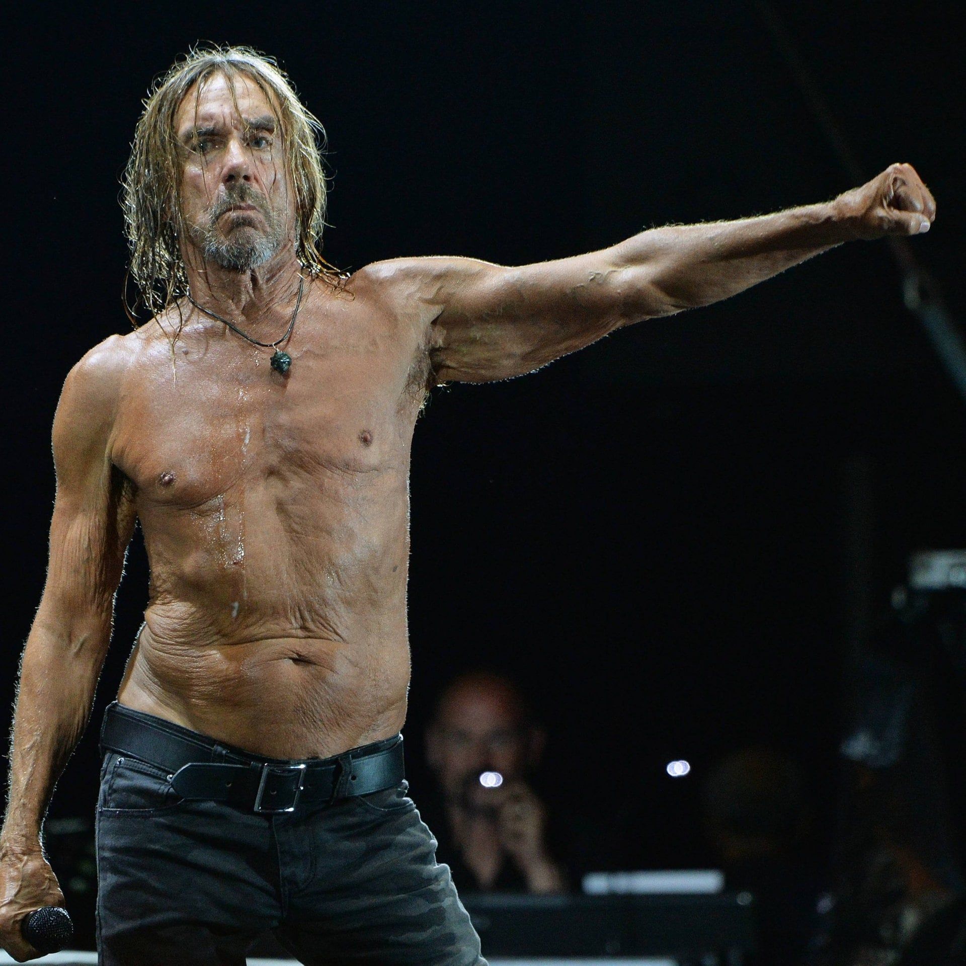 Iggy Pop, „The Passenger"
