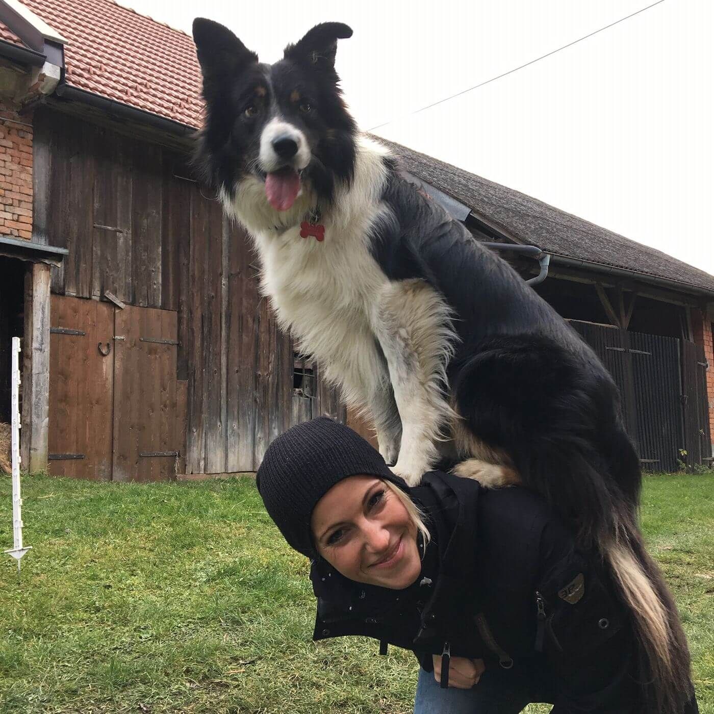 Ihre Hunde können Handstand und Bier holen
