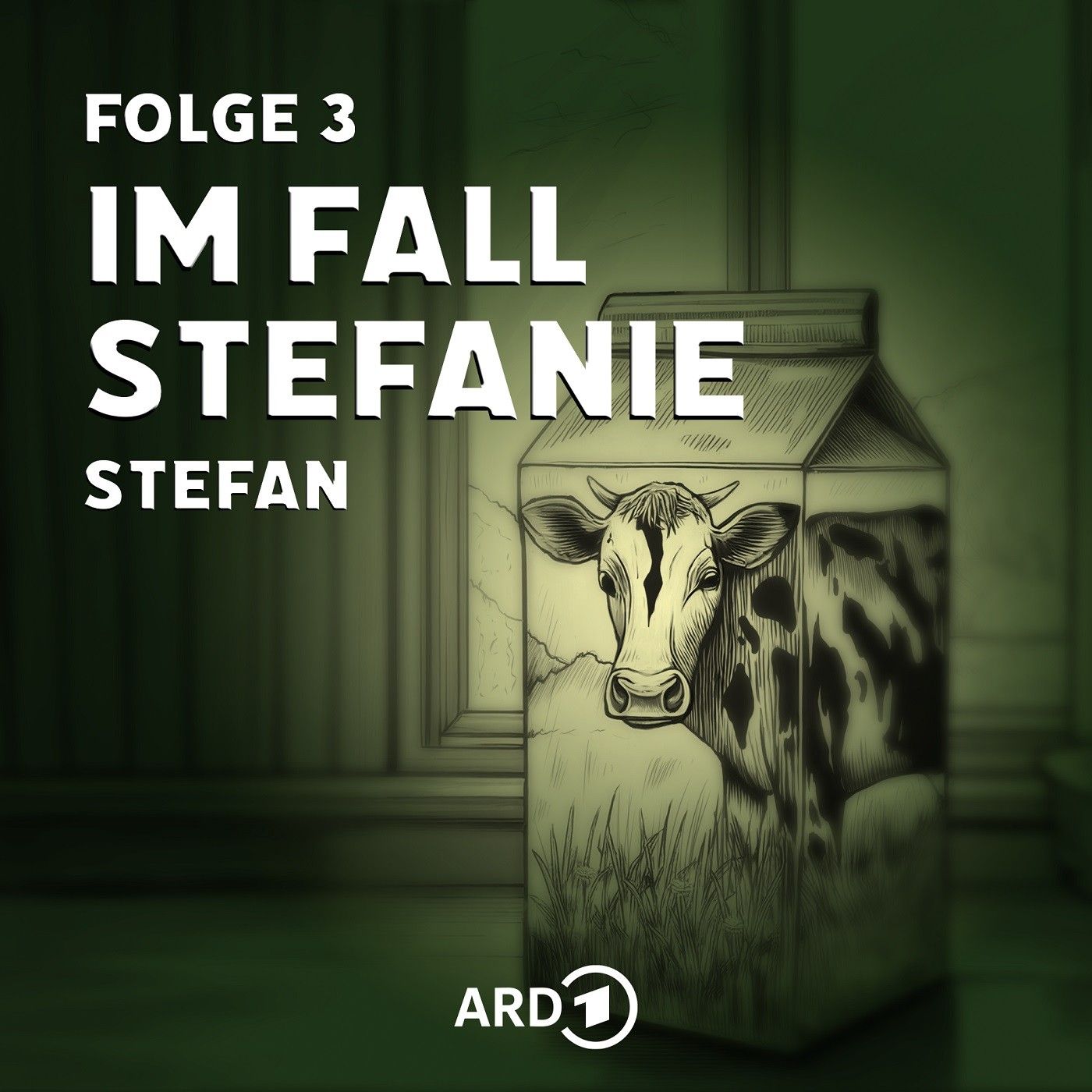 Im Fall Stefanie - Folge 3: Stefan