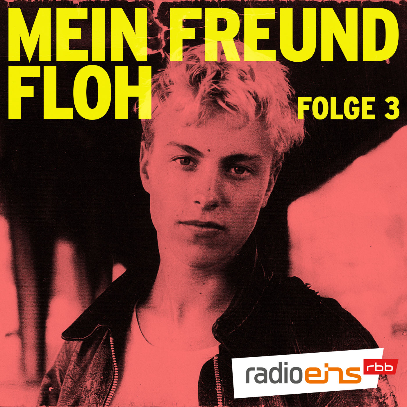 Im Faschopark (Folge 3)
