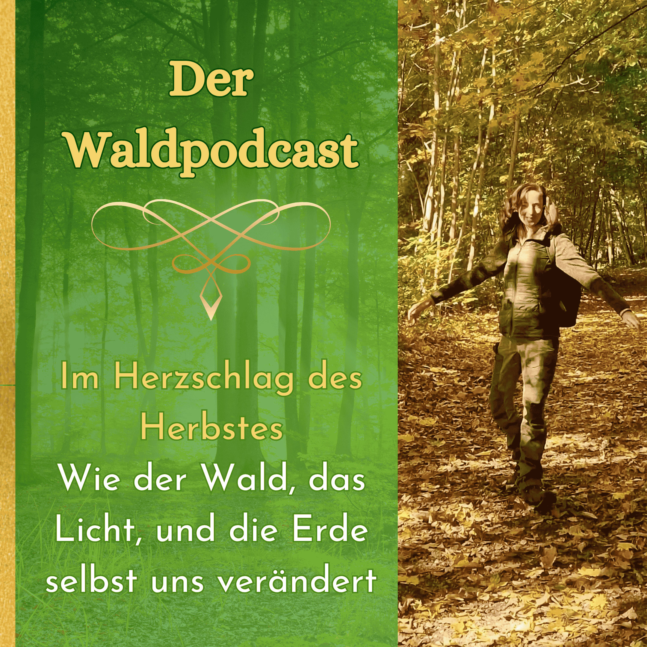 Im Herzschlag des Herbstes - wie der Wald, das Licht und die Erde selbst uns verändert