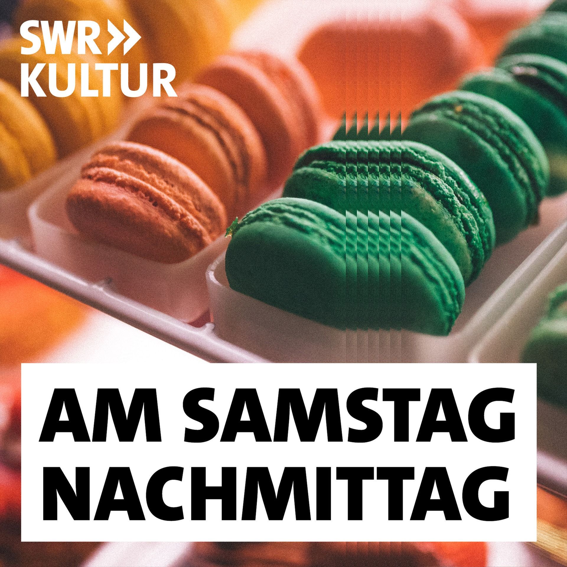„Im Schneckenhaus“ von Joris