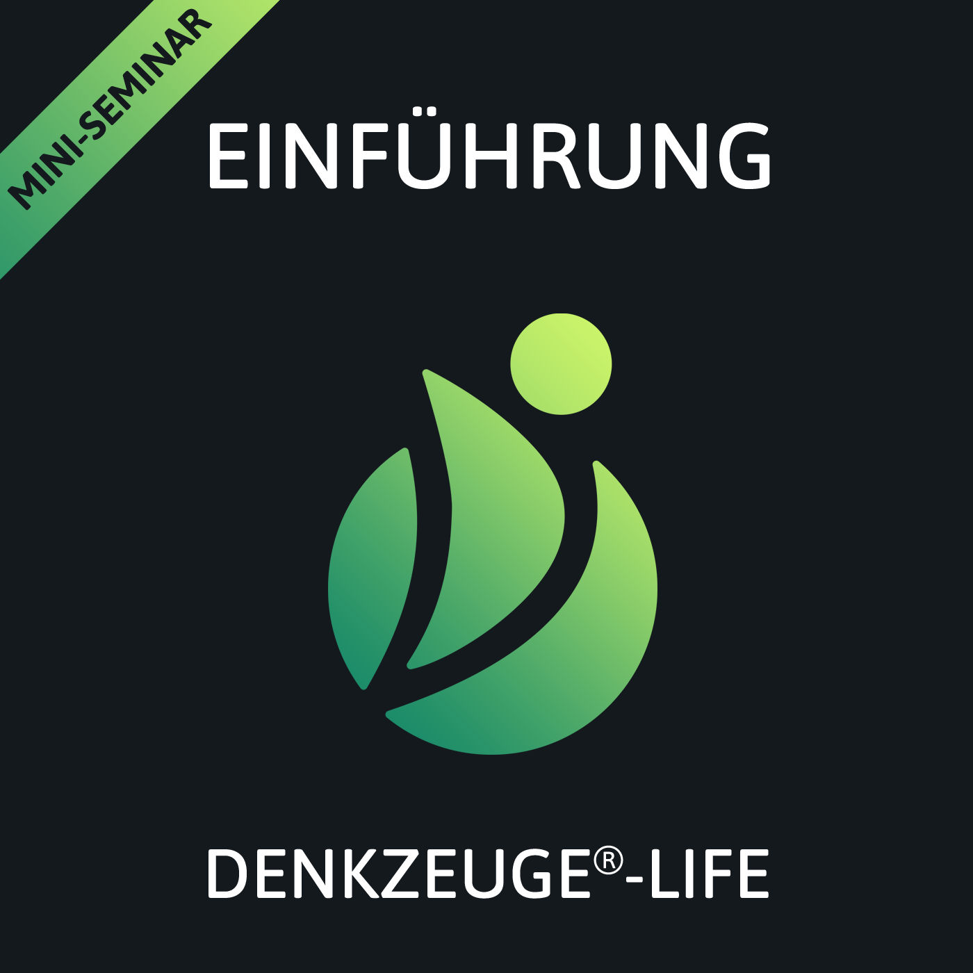 IMA© | Einführung in die Innere-Motiv-Analyse | Ep 0