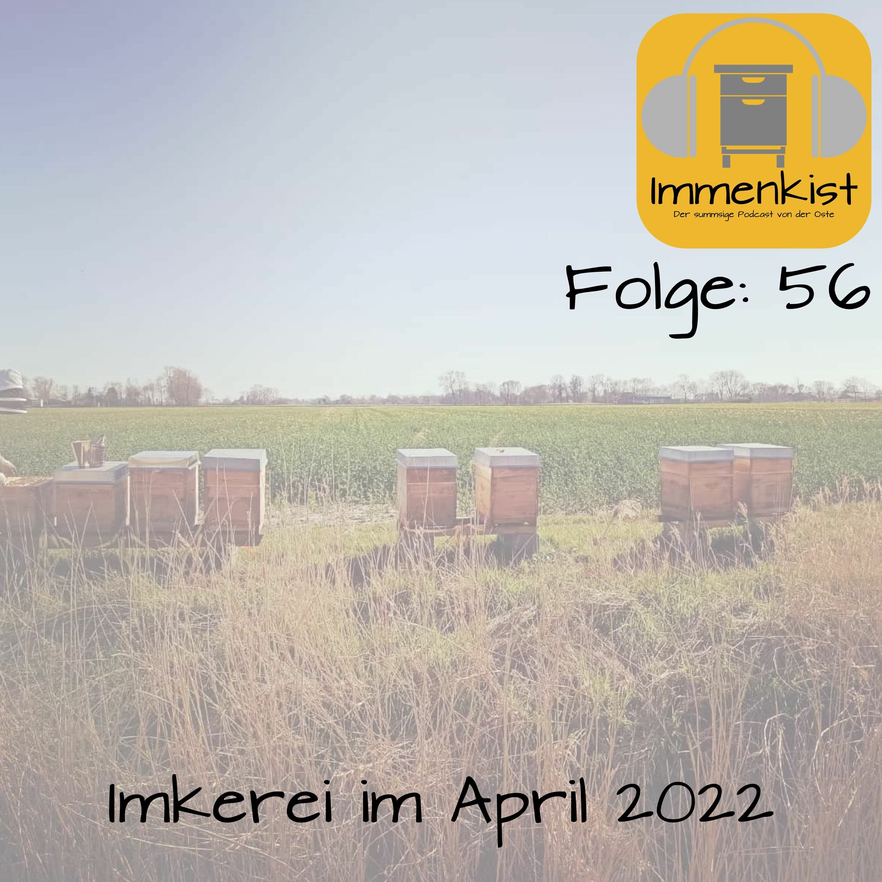 Immenkist - Folge 56: Imkerei Im April 2022