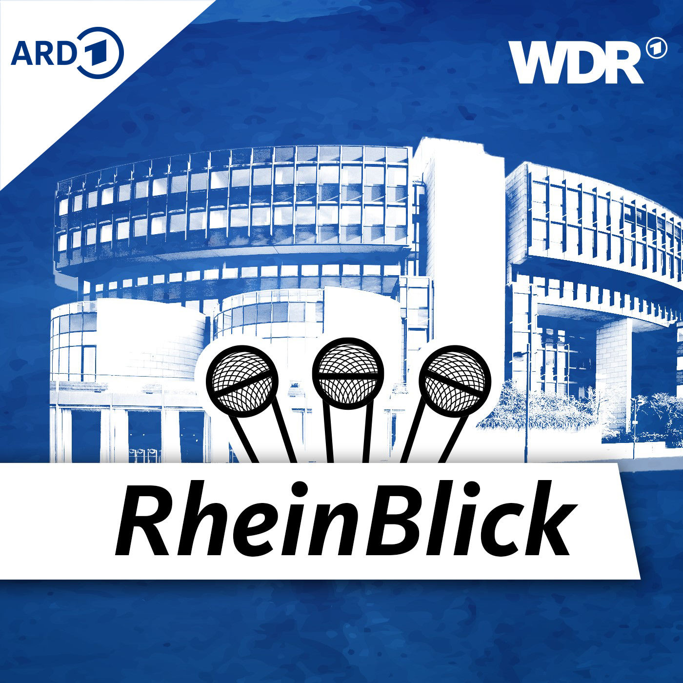 Immer Ärger mit der Grundsteuer