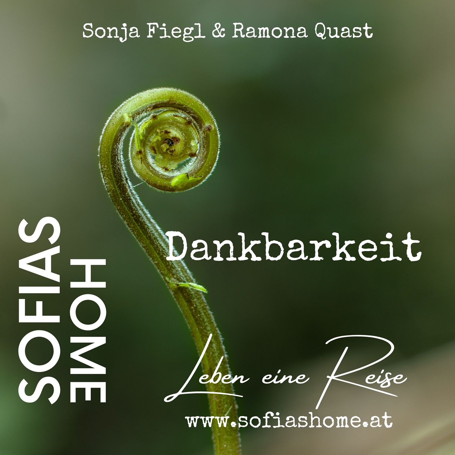 Impuls "Dankbarkeit"