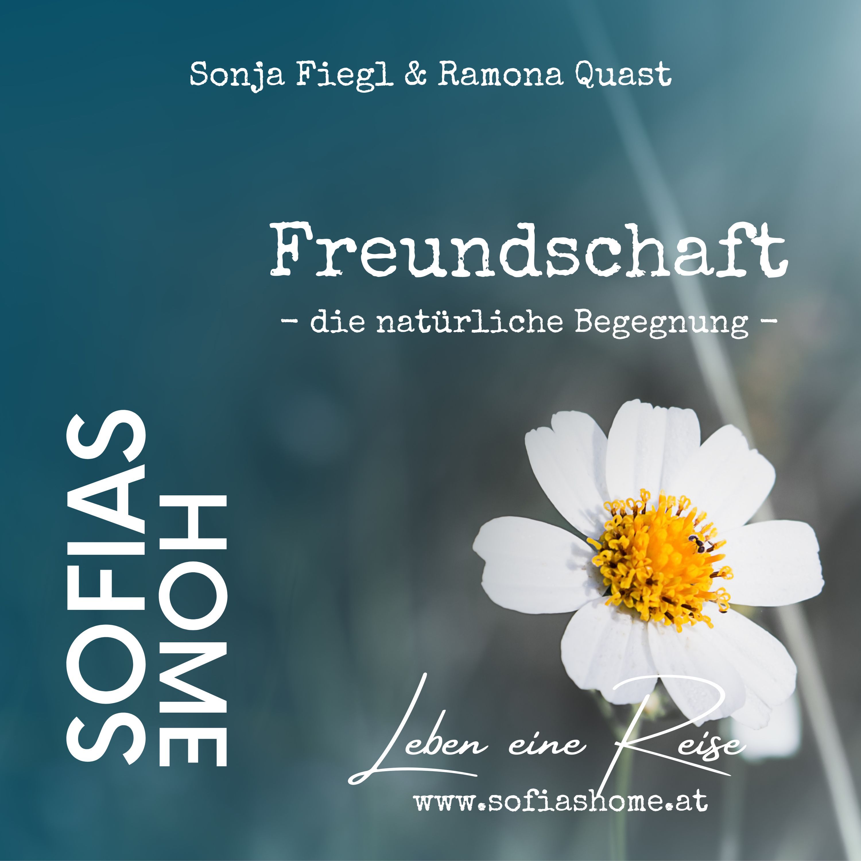 Impuls „Freundschaft - die natürliche Begegnung“