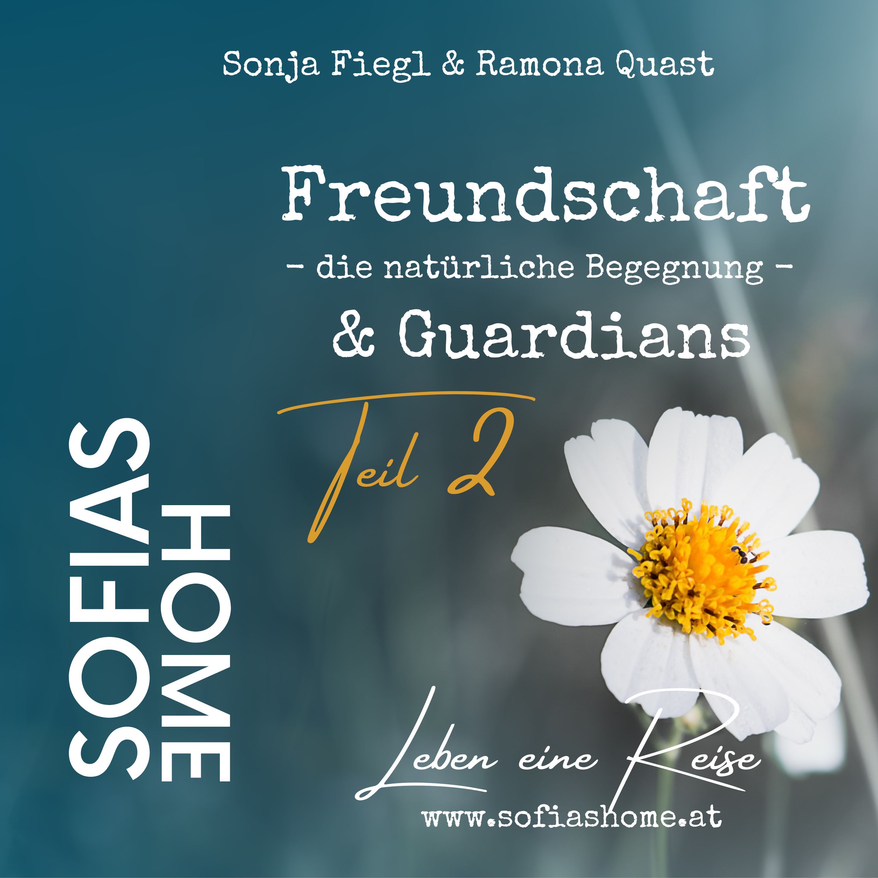 Impuls „Freundschaft - die natürliche Begegnung - Teil 2“