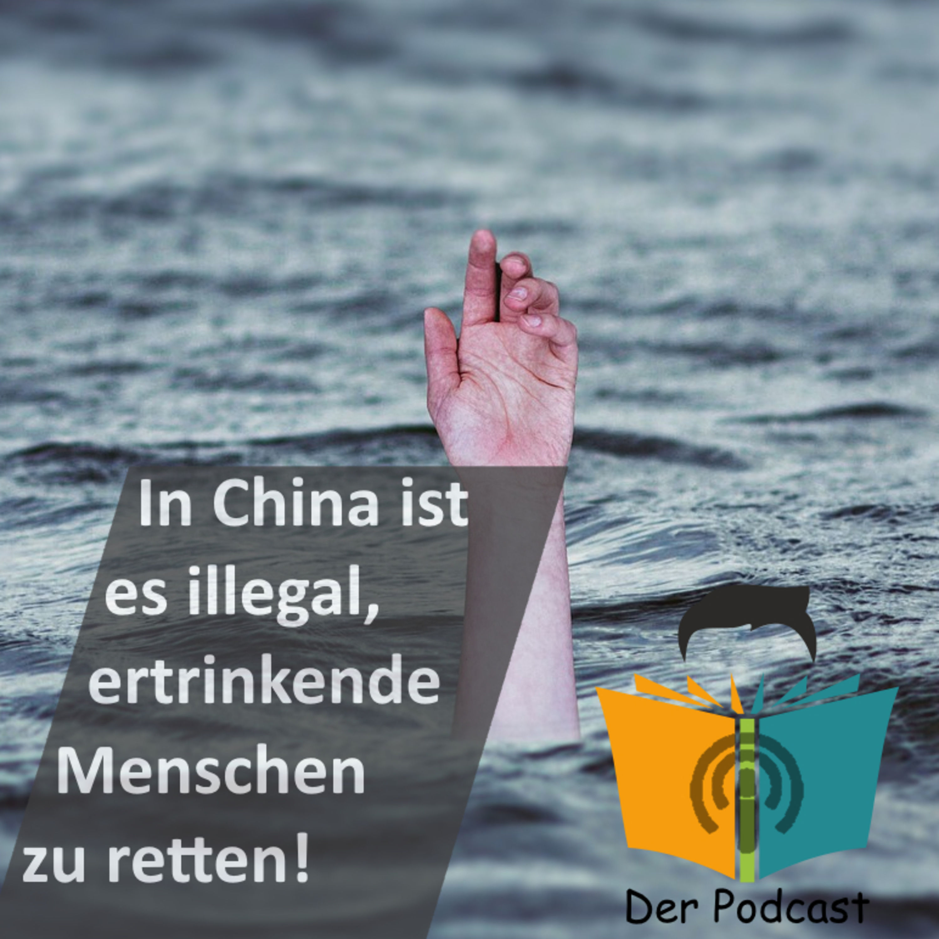 "In China ist es illegal, ertrinkende Menschen zu retten!" - IstDasFakt?!