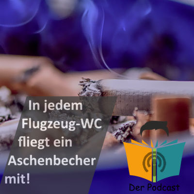 "In jedem Flugzeug-WC fliegt ein Aschenbecher mit!" - IstDasFakt?!