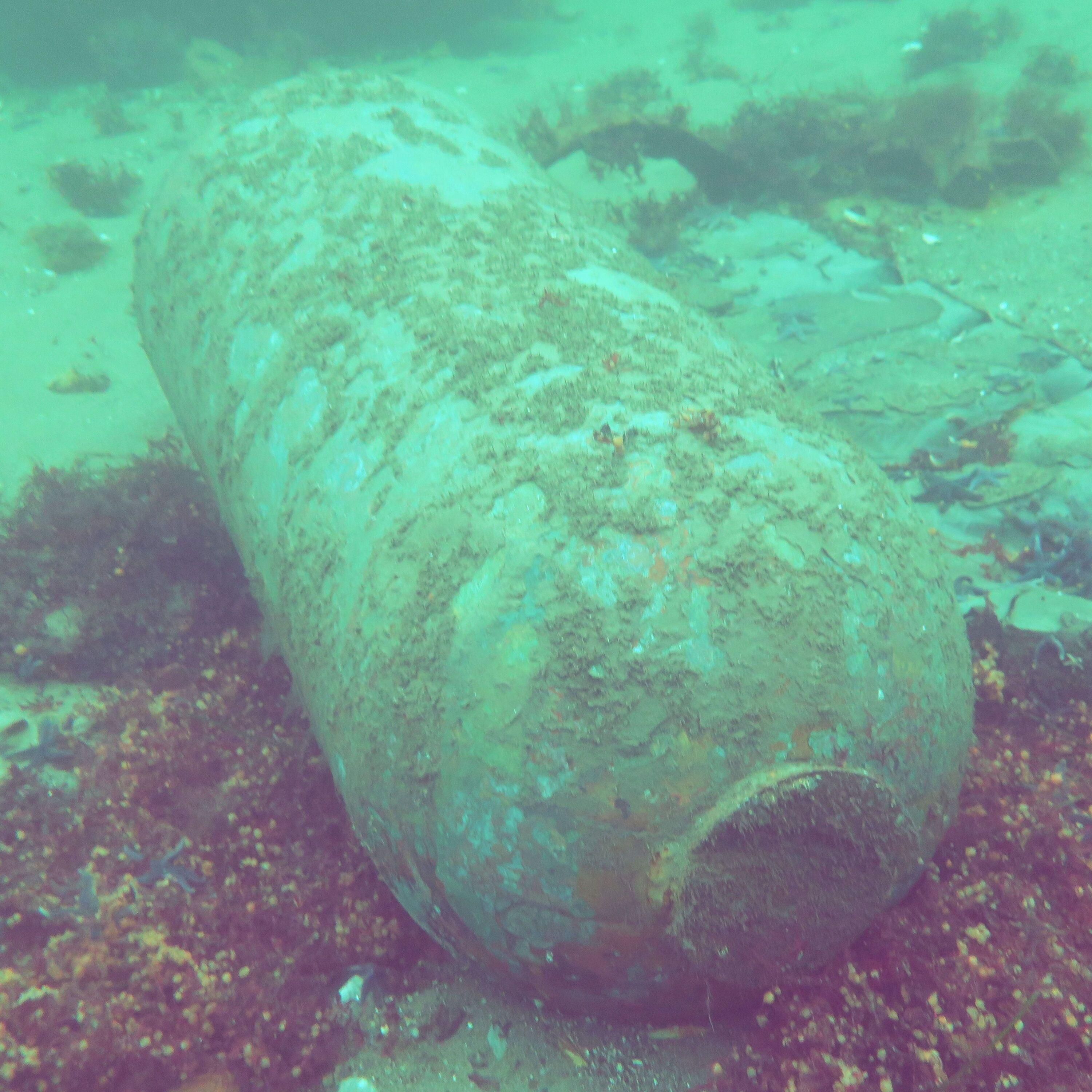 In Nord-und Ostsee schlummert Deutschlands explosives Erbe