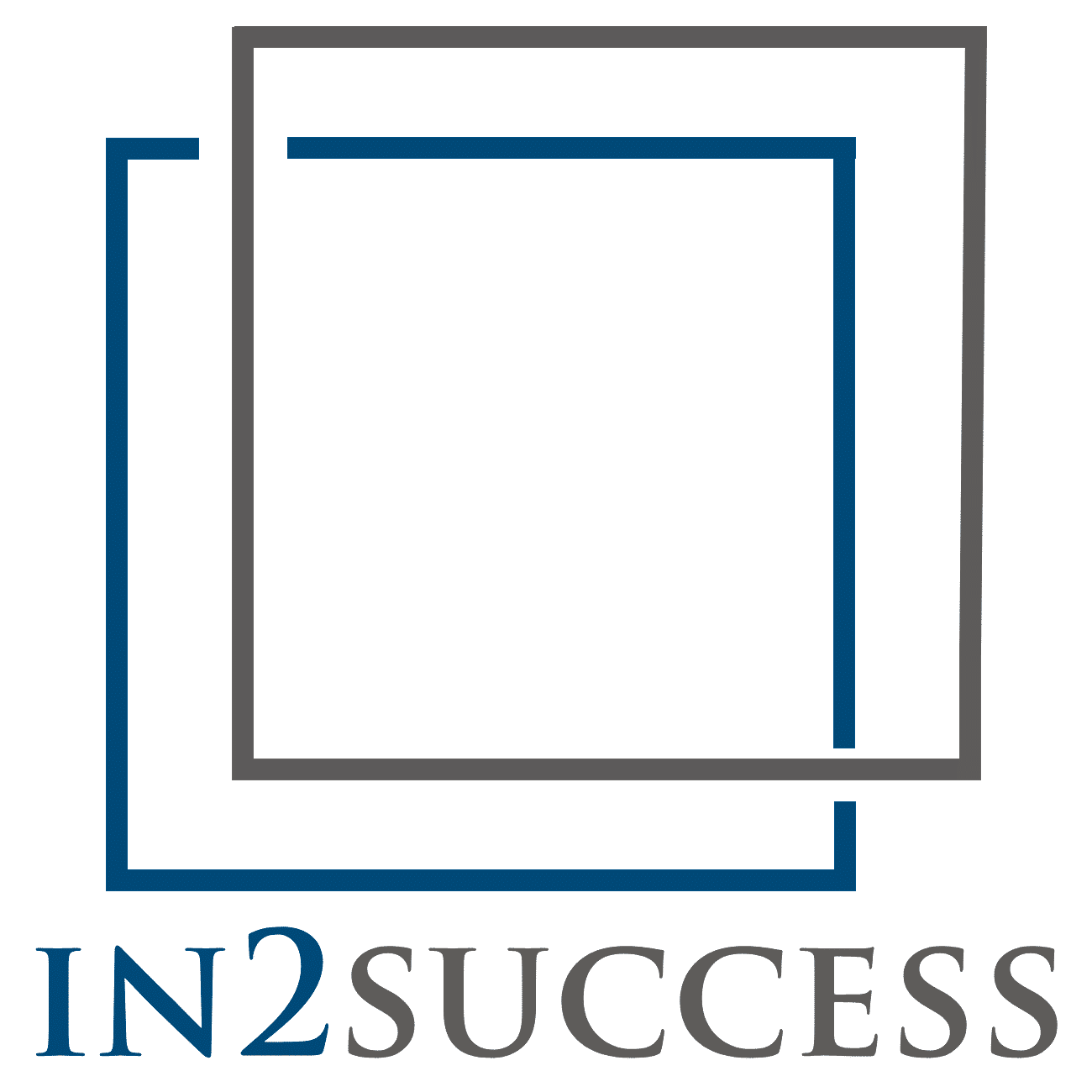 in2success Vorstellung
