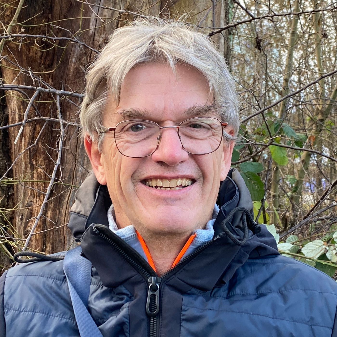 Insekten: Ohne sie geht (fast) gar nichts